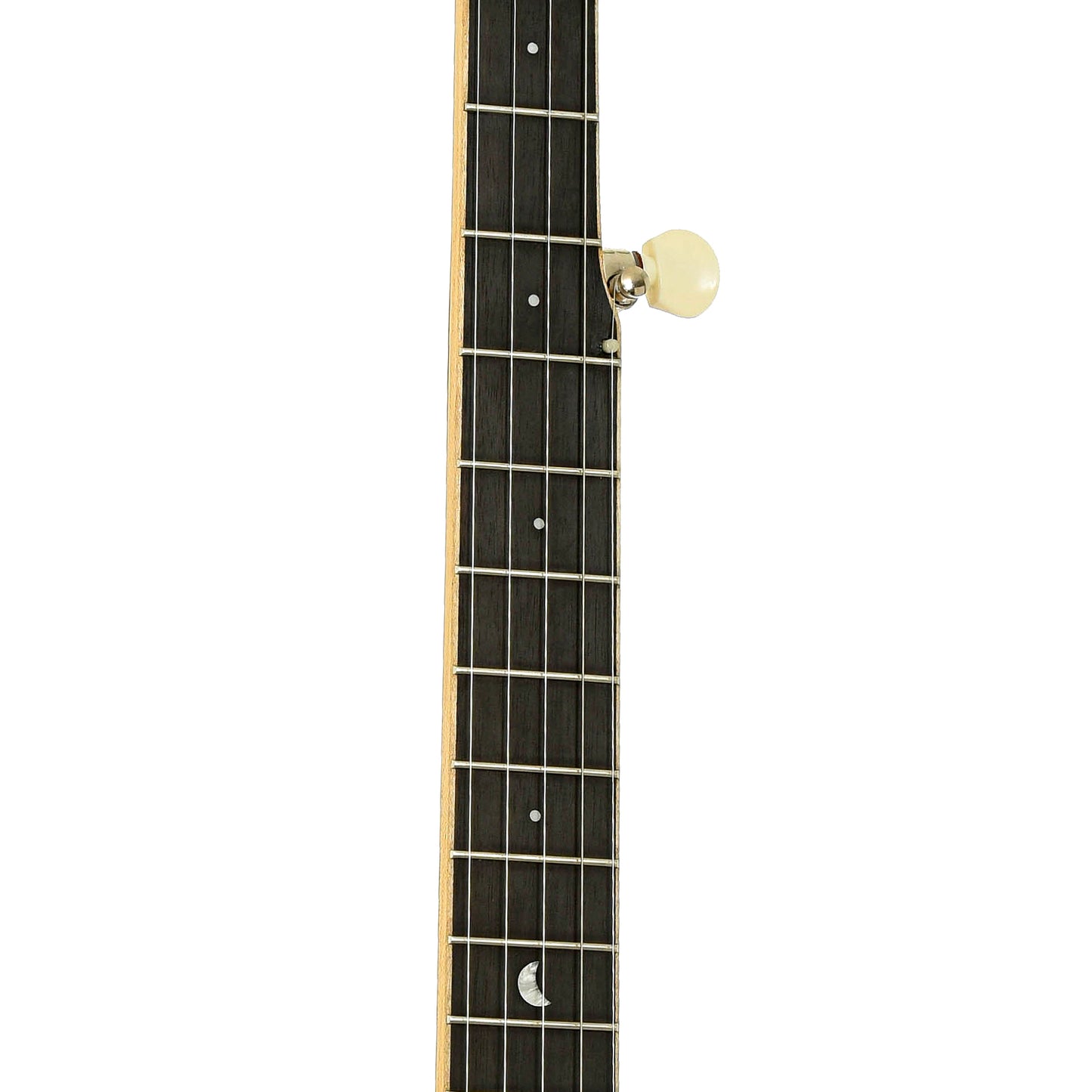 Fretboard of Gold Tone Lefthanded HM-100 High Moon Openback Banjo 