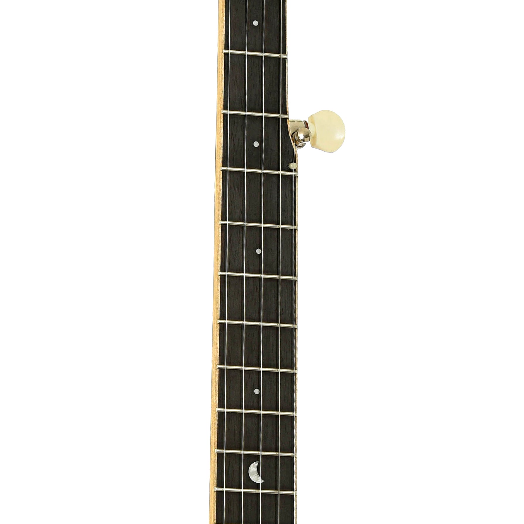Fretboard of Gold Tone Lefthanded HM-100 High Moon Openback Banjo 