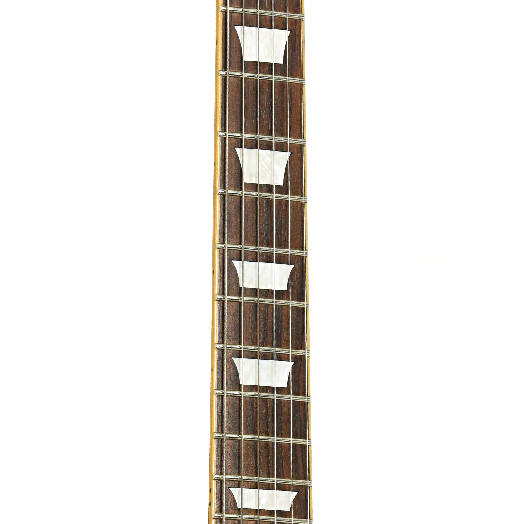 Fretboard of Edwards E-LP-112LTS/RE