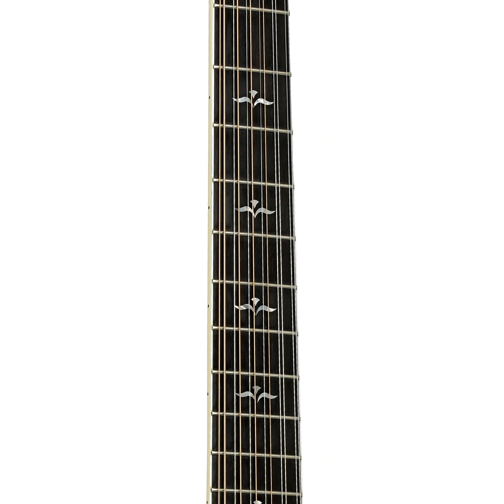 Fretboard of Taylor 655-CE 12-String Acoustic-Electric Guitar
