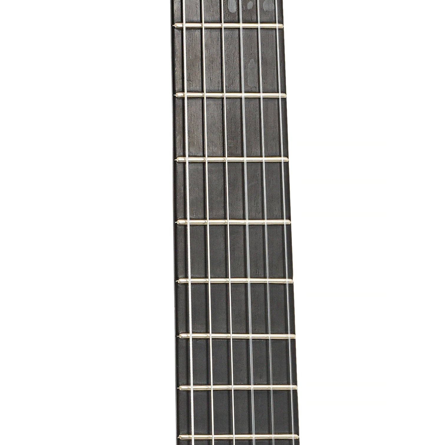 Fretboard of Juan Alvarez Classical Guitar (1969)