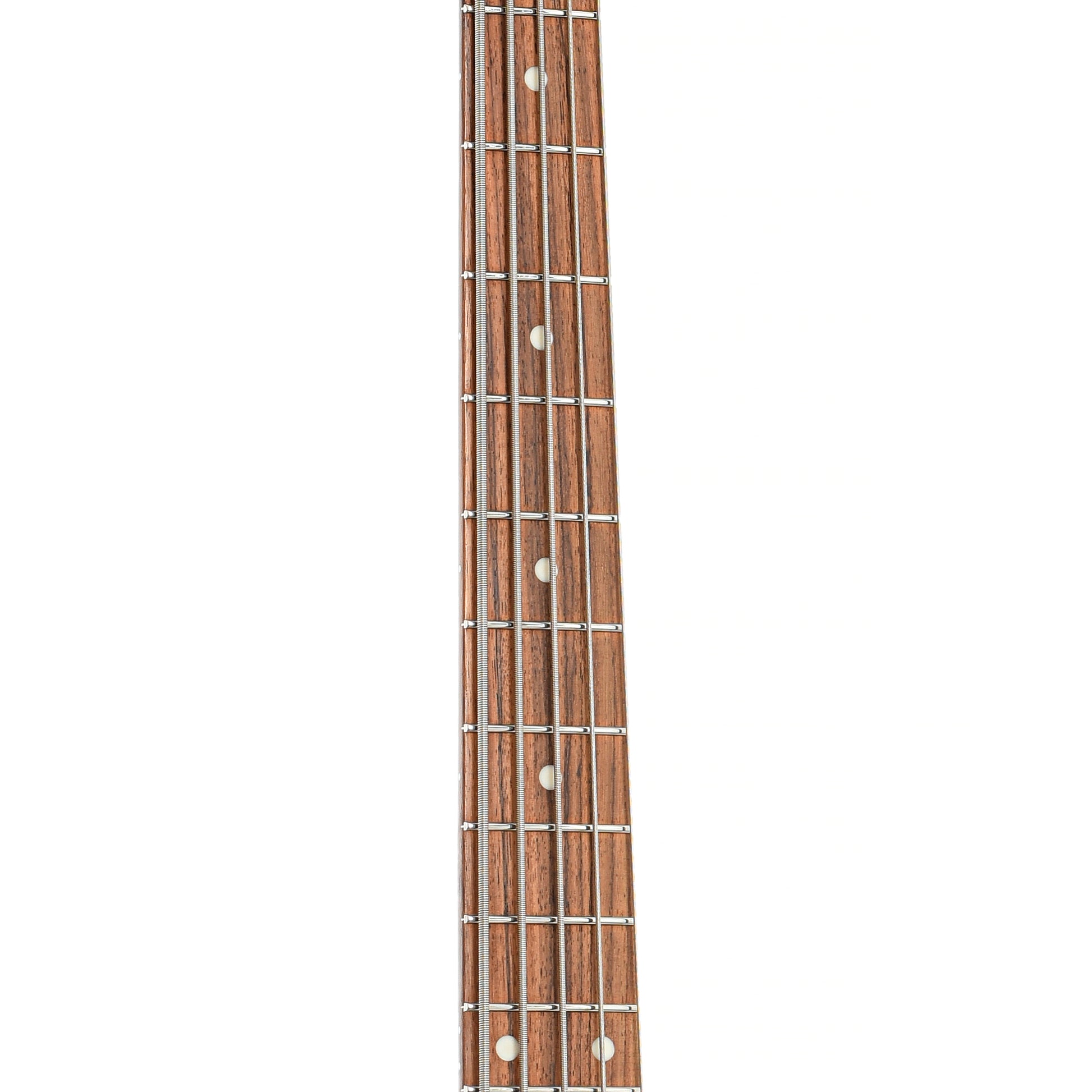 Fretboard of Ernie Ball Music Man Sterling 5 H Electric Bass (2019)