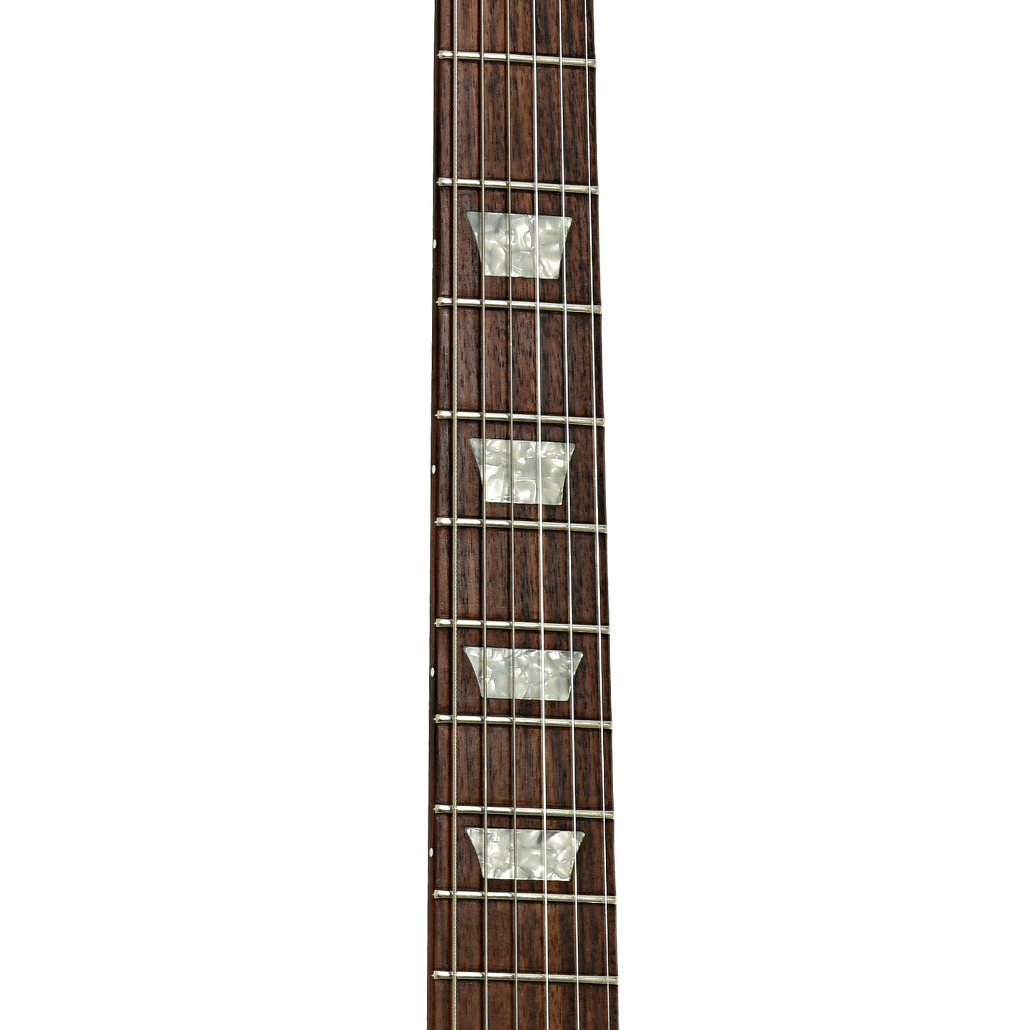 Fretboard of Gibson Les Paul Studio Faded Electric Guitar