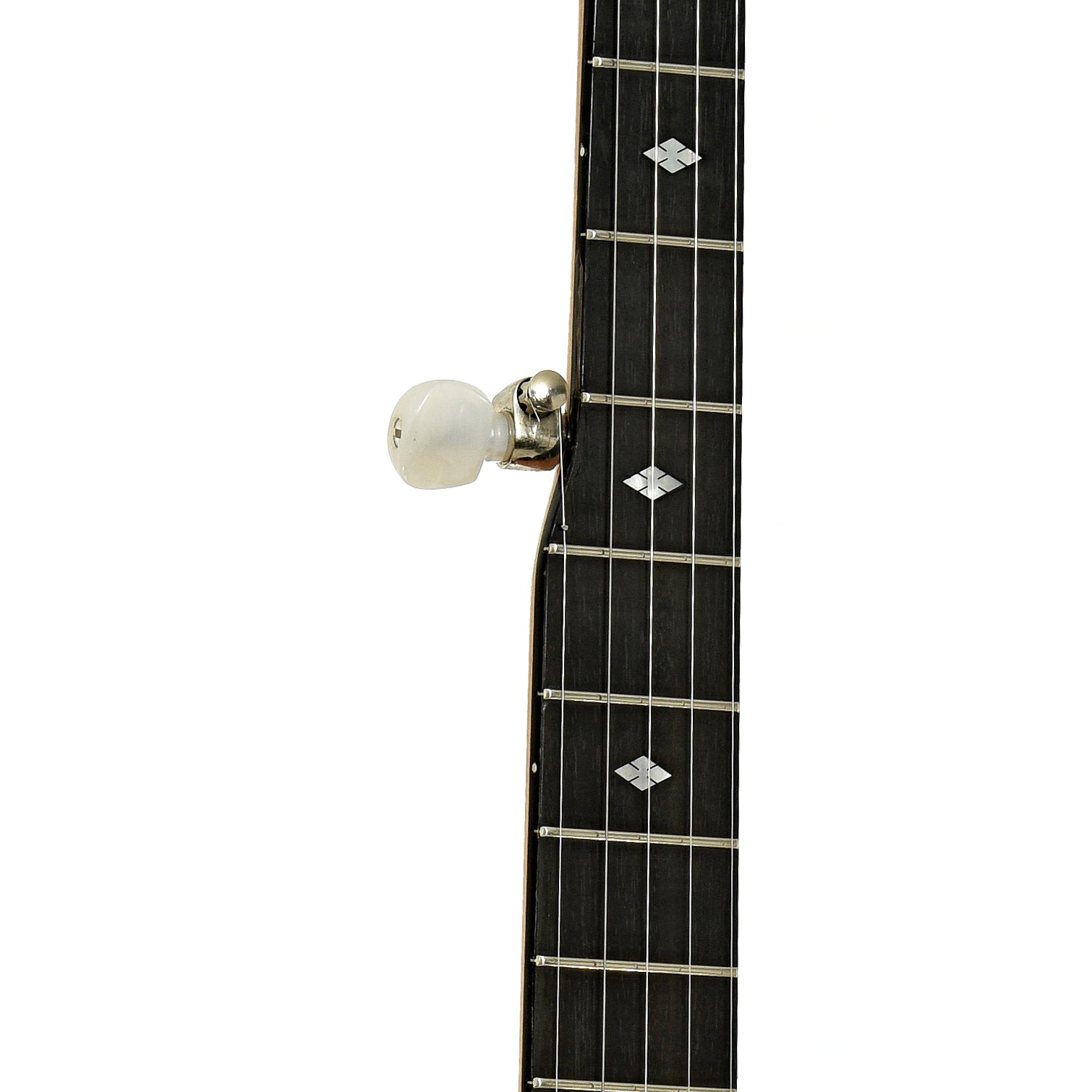 Fretboard of Deering Crossfire Electric Banjo 