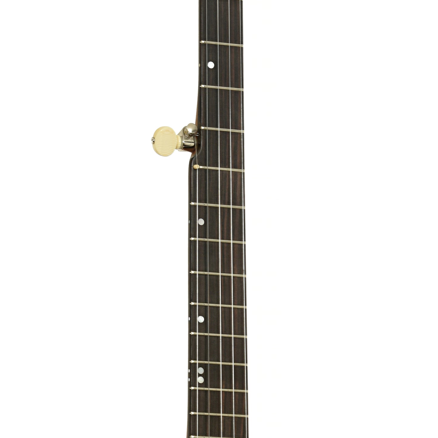 Fretboard of Chuck Lee Ovilla 12" Open Back Banjo 