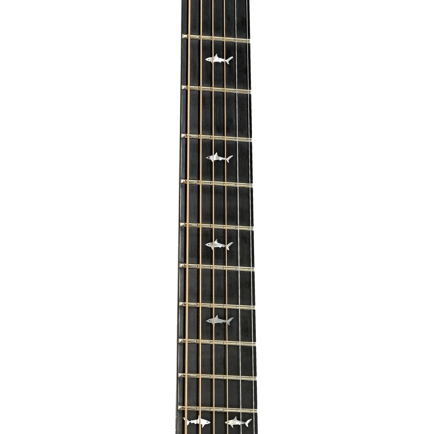 Fretboard of Rainsong JM1000 Jumbo Guitar 