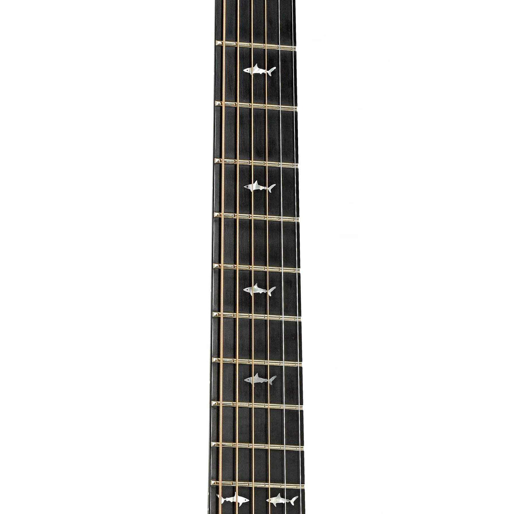 Fretboard of Rainsong JM1000 Jumbo Guitar 