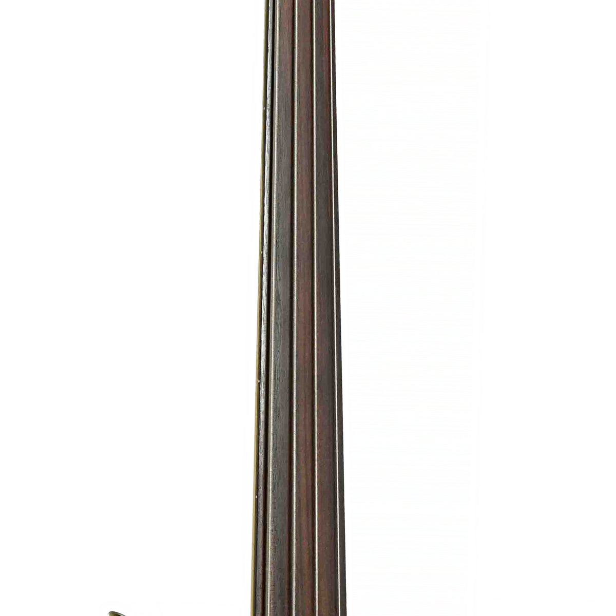 Fretboard of Fender Jazz Fretless Electric Bass