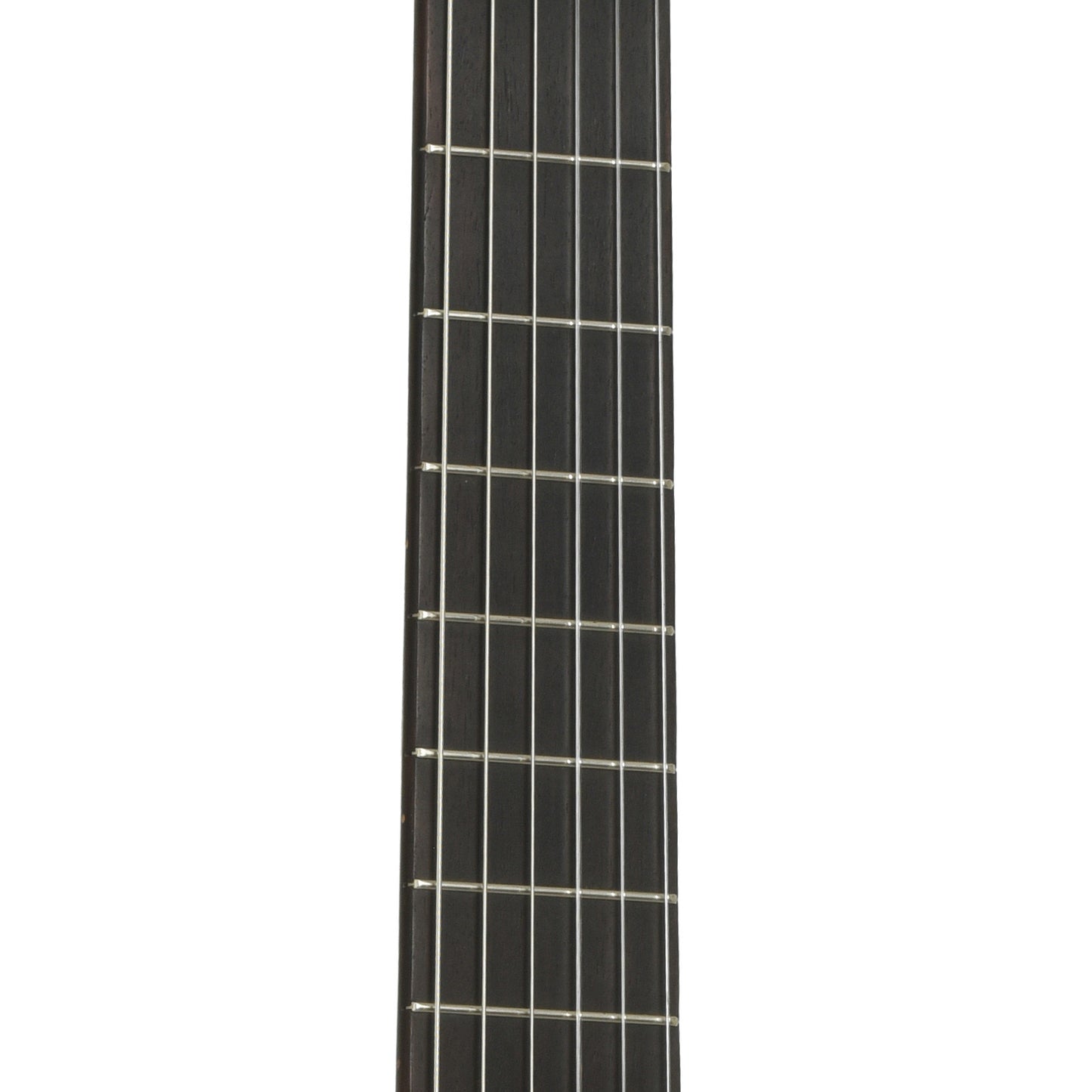 Fretboard of Alvarez-Yairi CY-120 Classical Acoustic Guitar