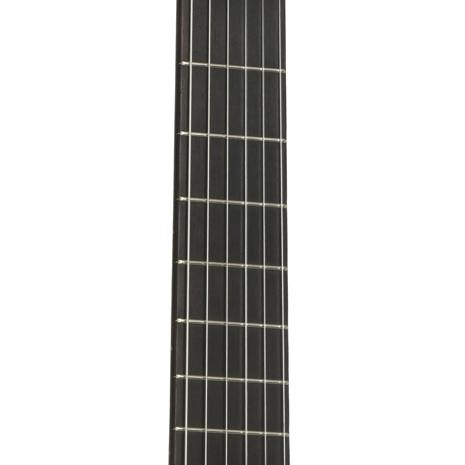 Fretboard of Alvarez-Yairi CY-120 Classical Acoustic Guitar