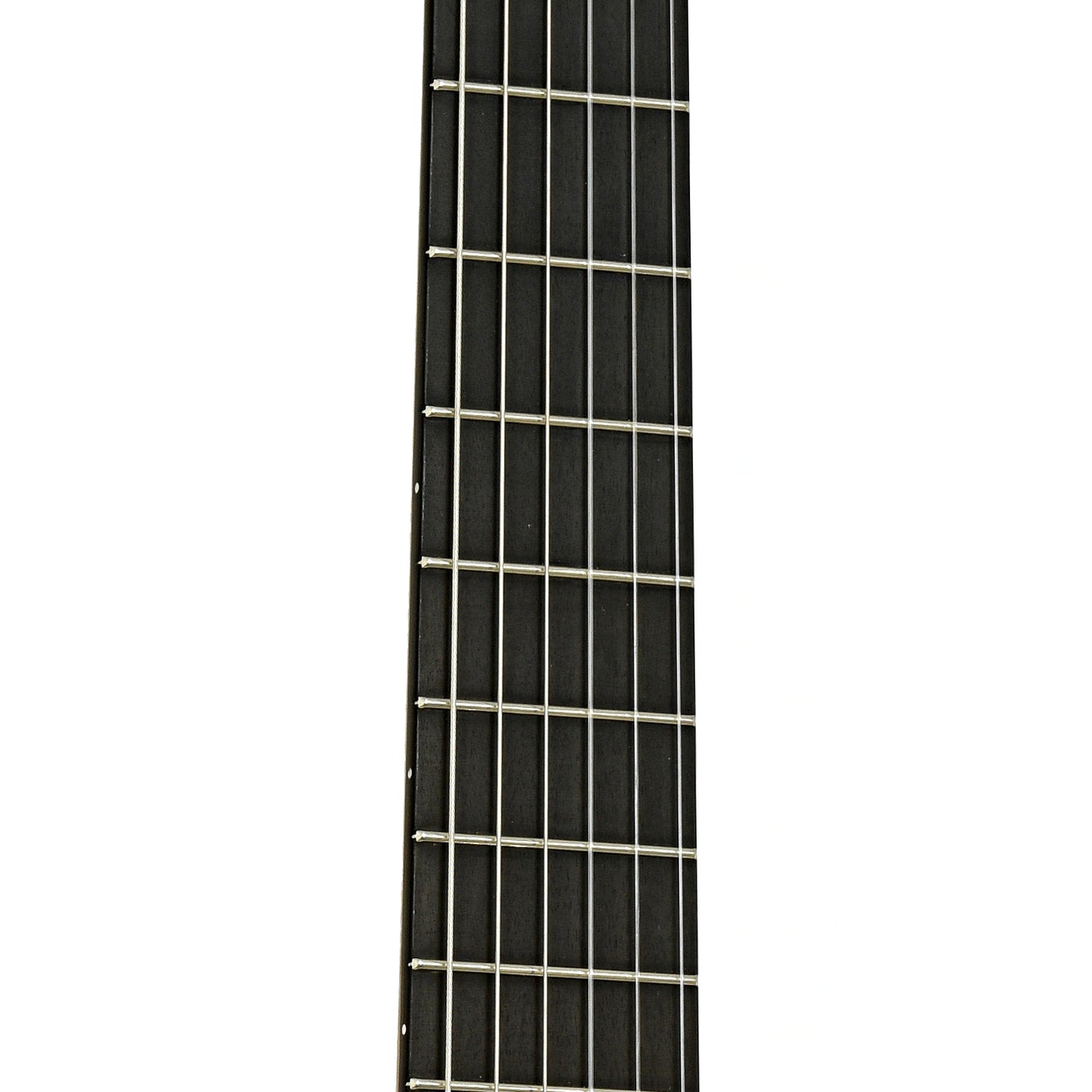 Fretboard of Michael Thames Classical Acoustic Guitar 