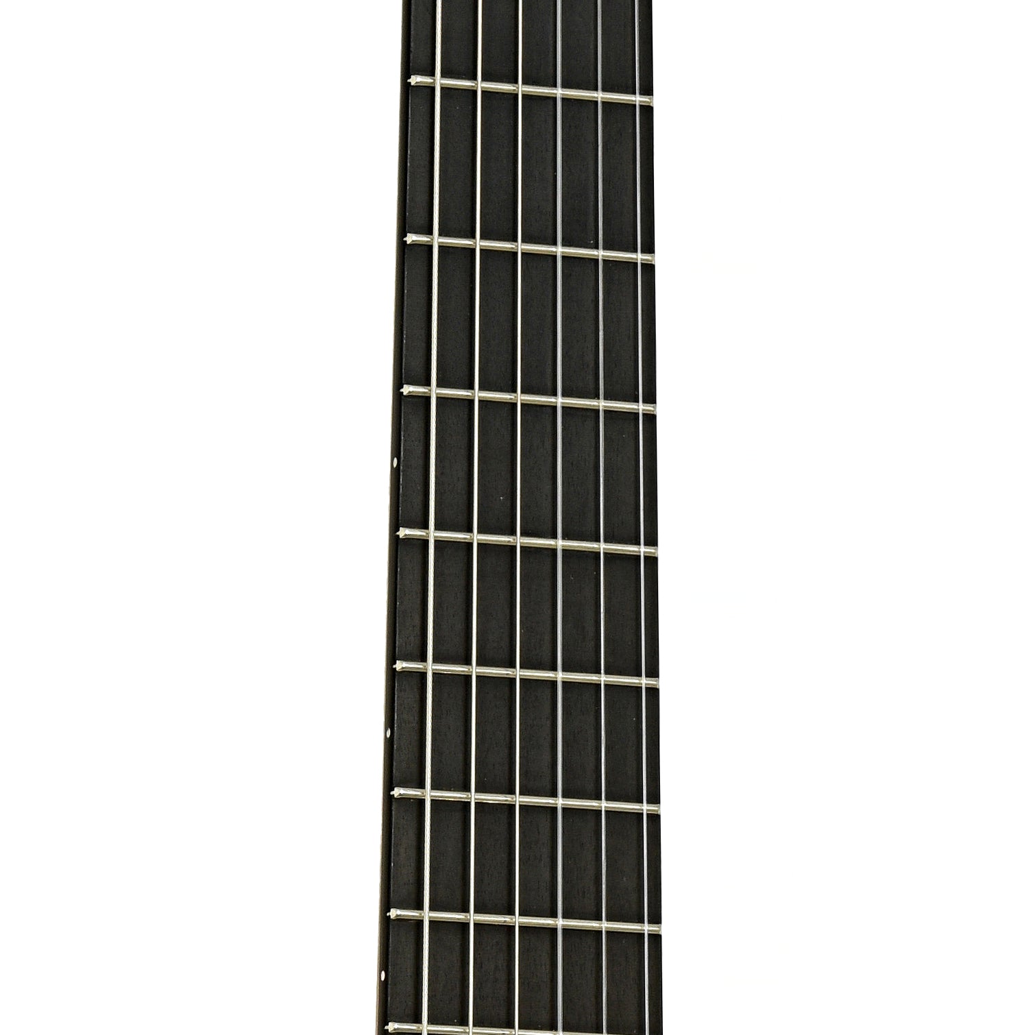 Fretboard of Michael Thames Classical Acoustic Guitar 