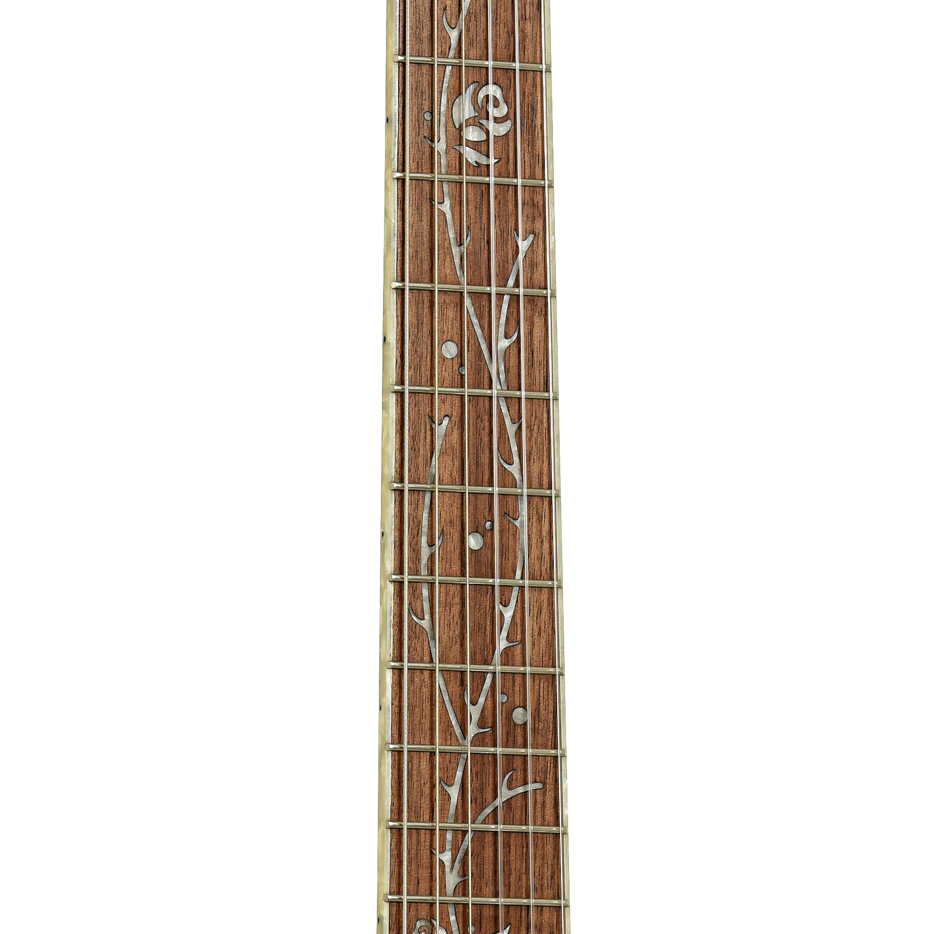 Fretboard of Ibanez TOD10N Tim Henson Signature Nylon String Acoustic-Electric Guitar