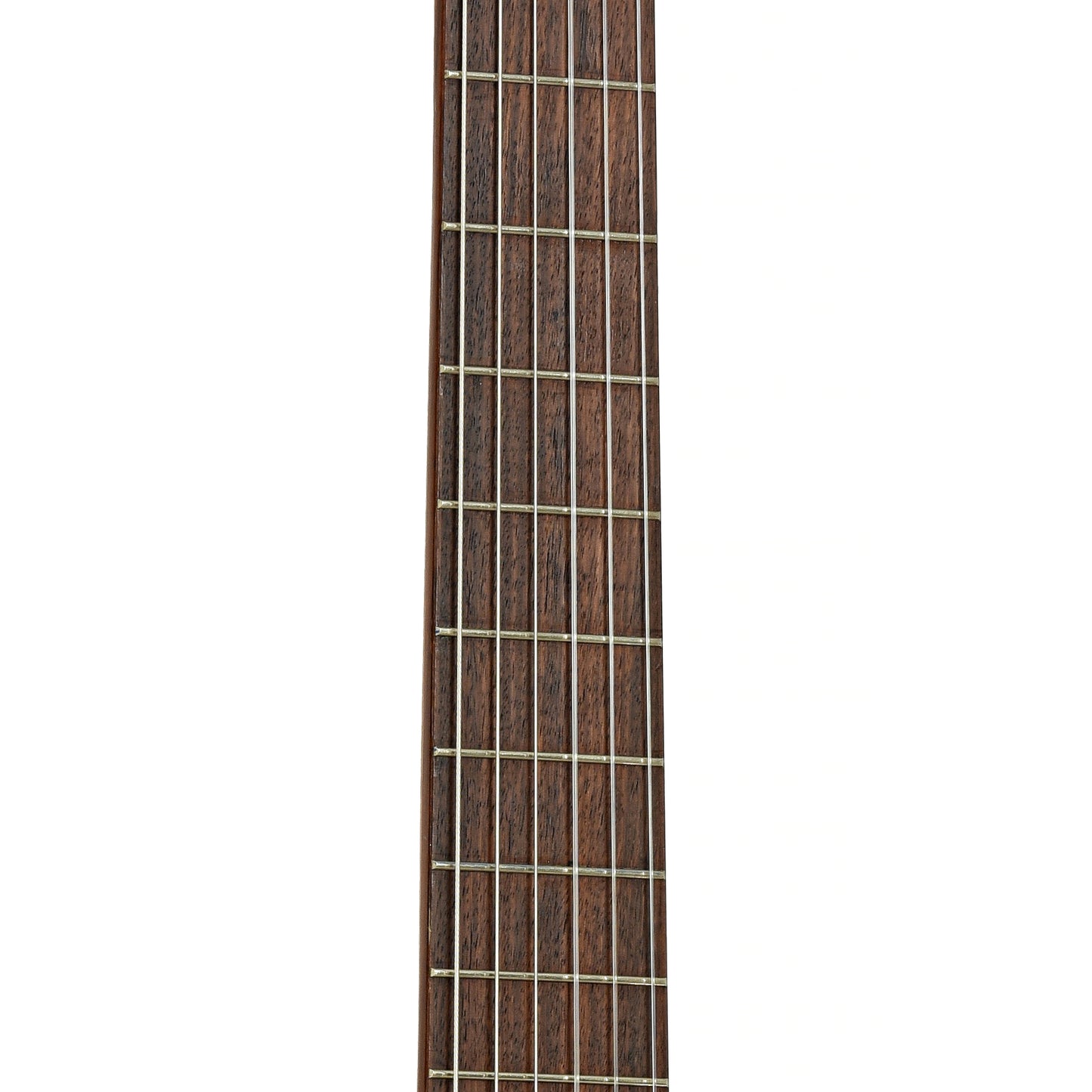 Fretboard of Takamine C-132S Classical Guitar 