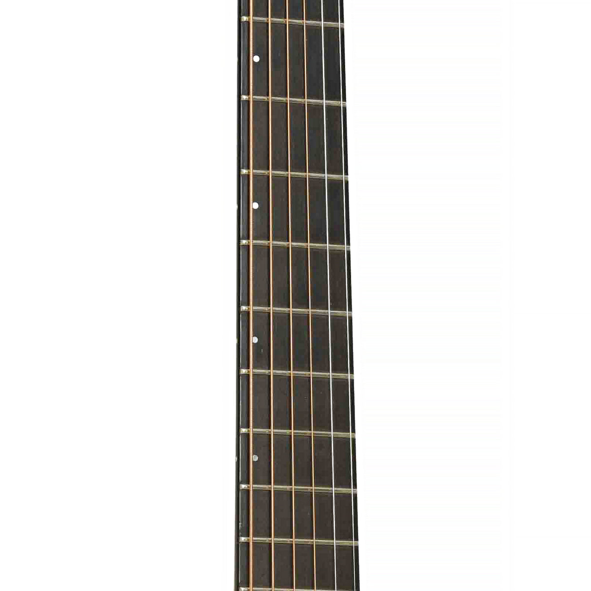 Fretboard of Breedlove SC20/W Acoustic Guitar