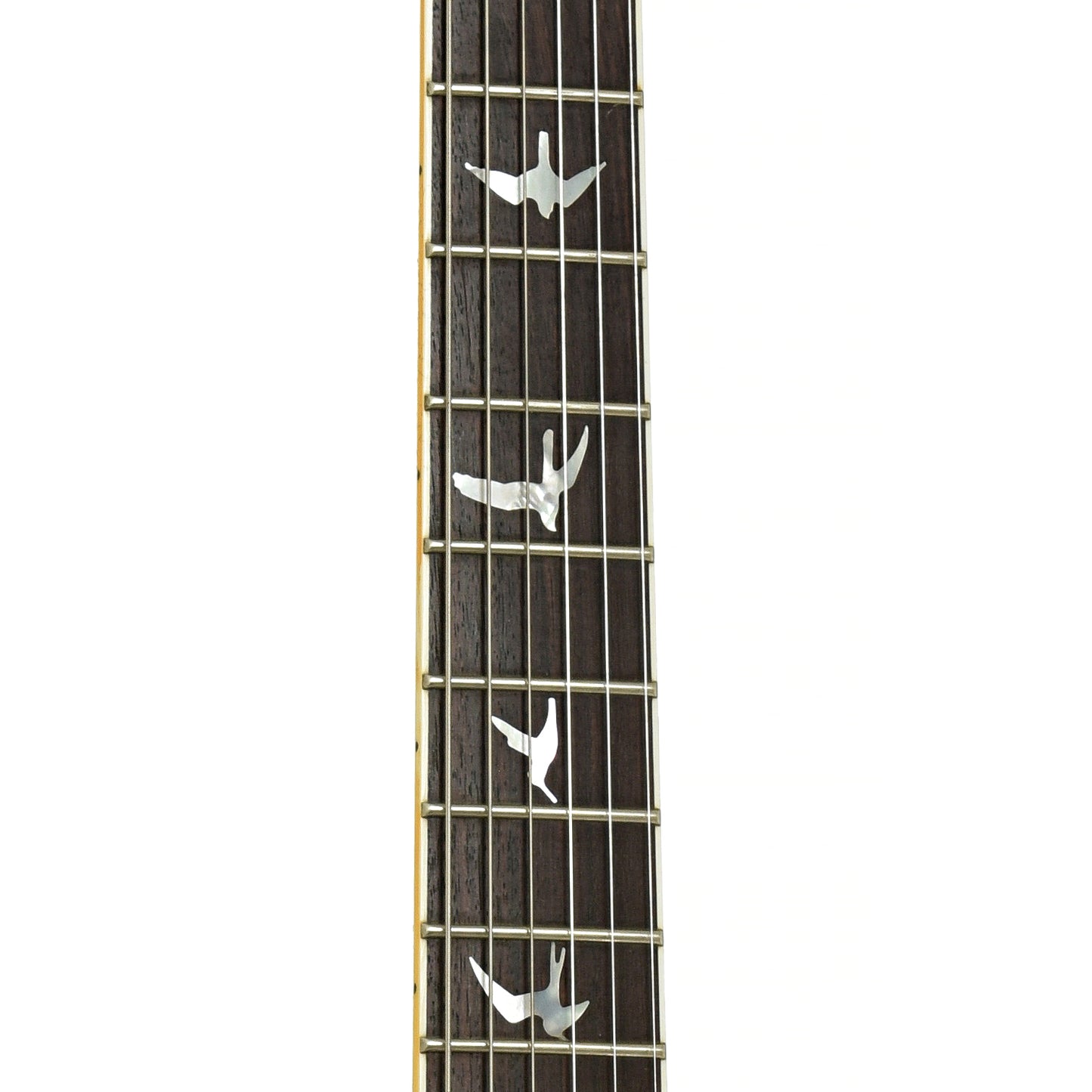 Fretboard of PRS PRS TMDC-245 McCarthy Ten top Electric Guitar 