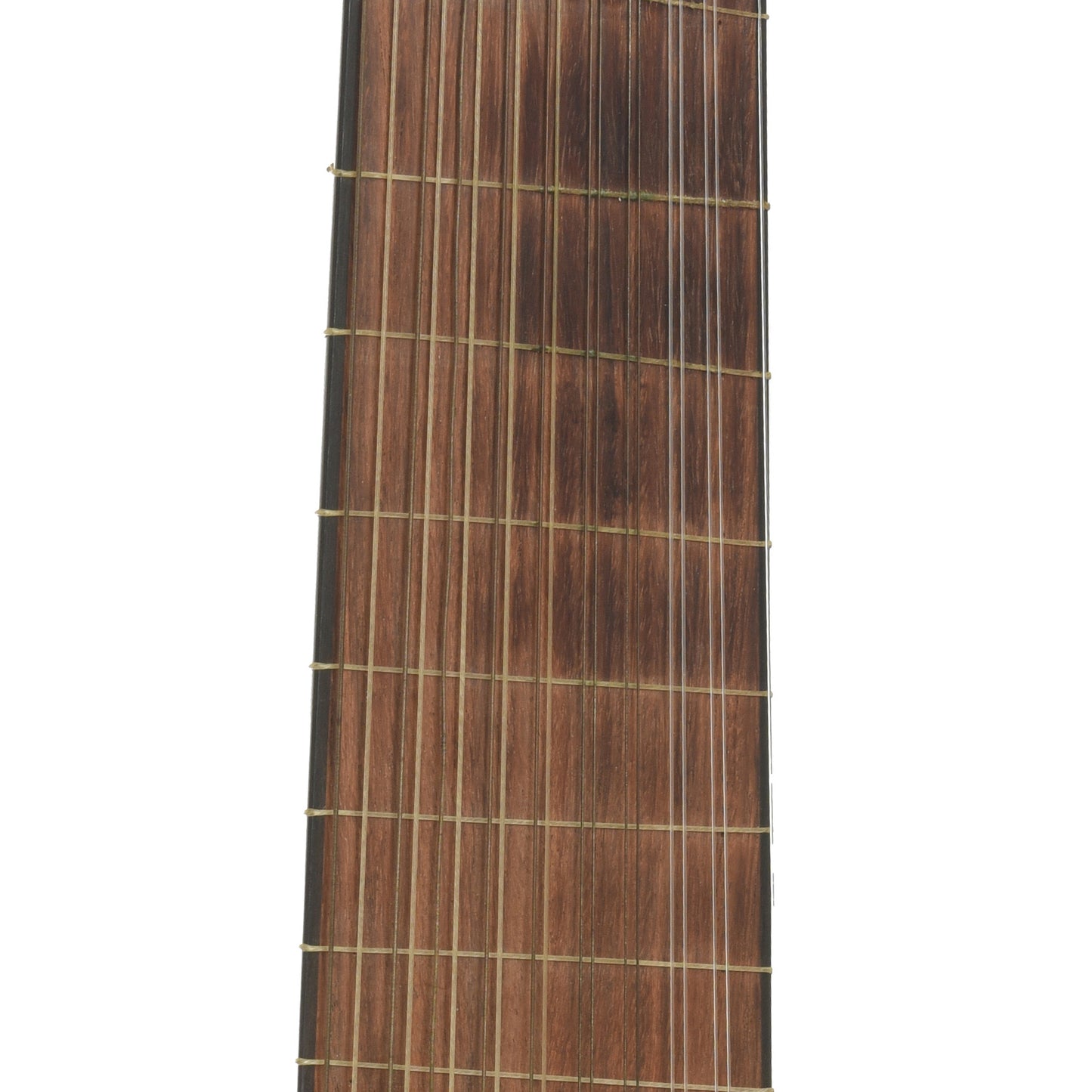 Fretboard of James P. North 20-String Lute 