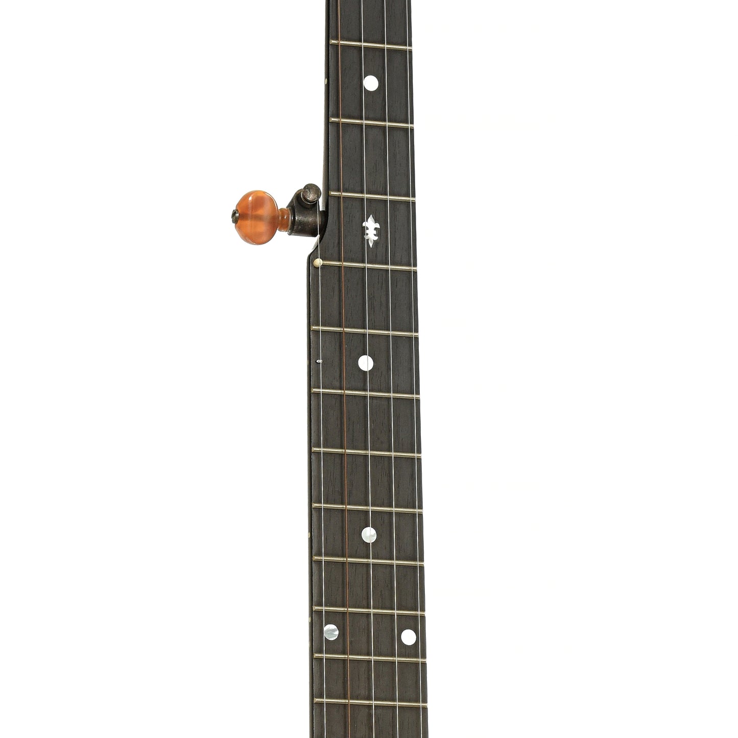 Fretboard of Arcand Black Cherry Open Back Banjo