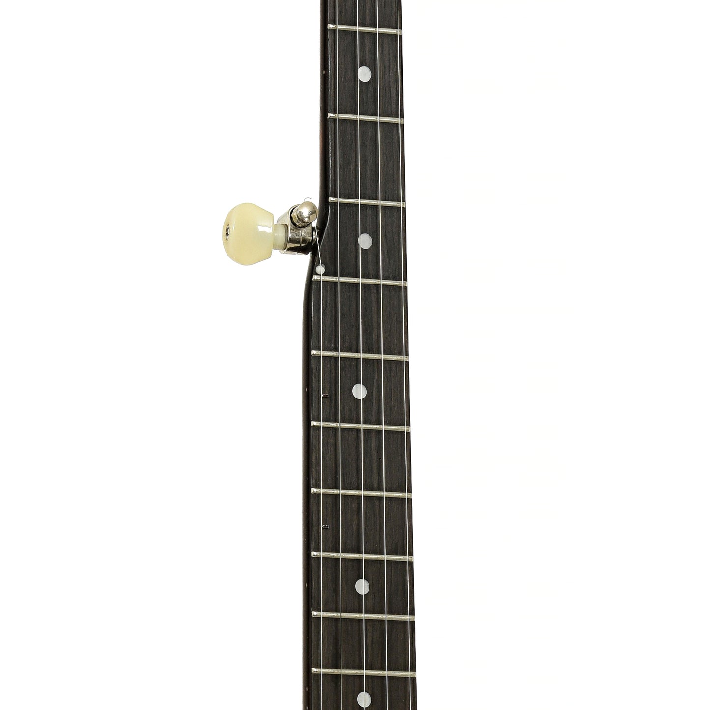 Fretboard of Recording King OT-25 Madison Openback Banjo