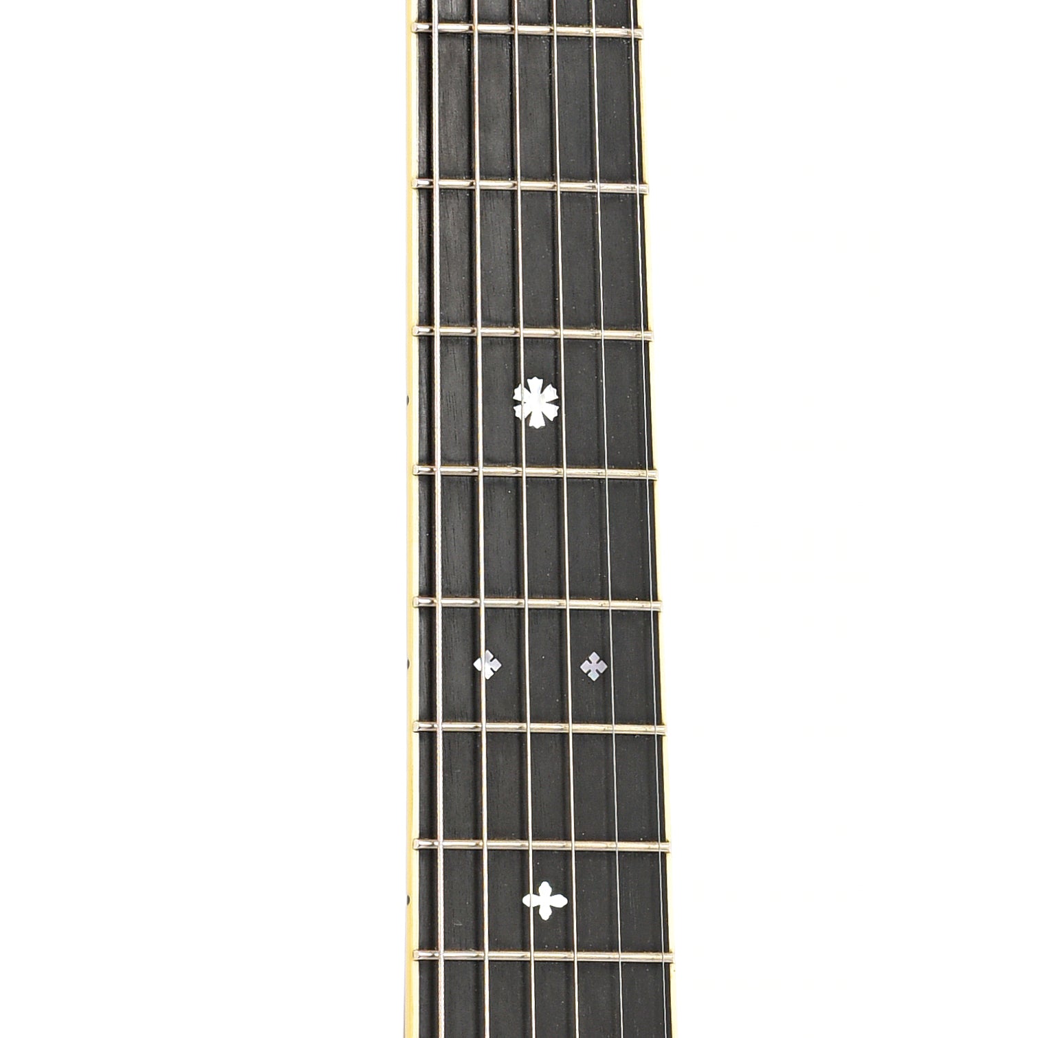 Fretboard of Blueridge BR-371 Parlor Acoustic Guitar (2014)