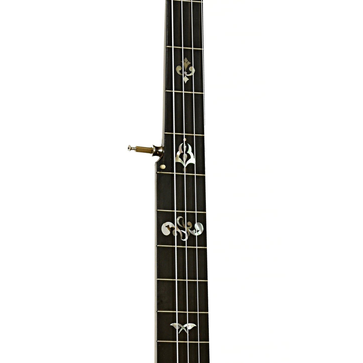 Fretboard dof L.B. Gatcomb Standard 50 Open Back Banjo