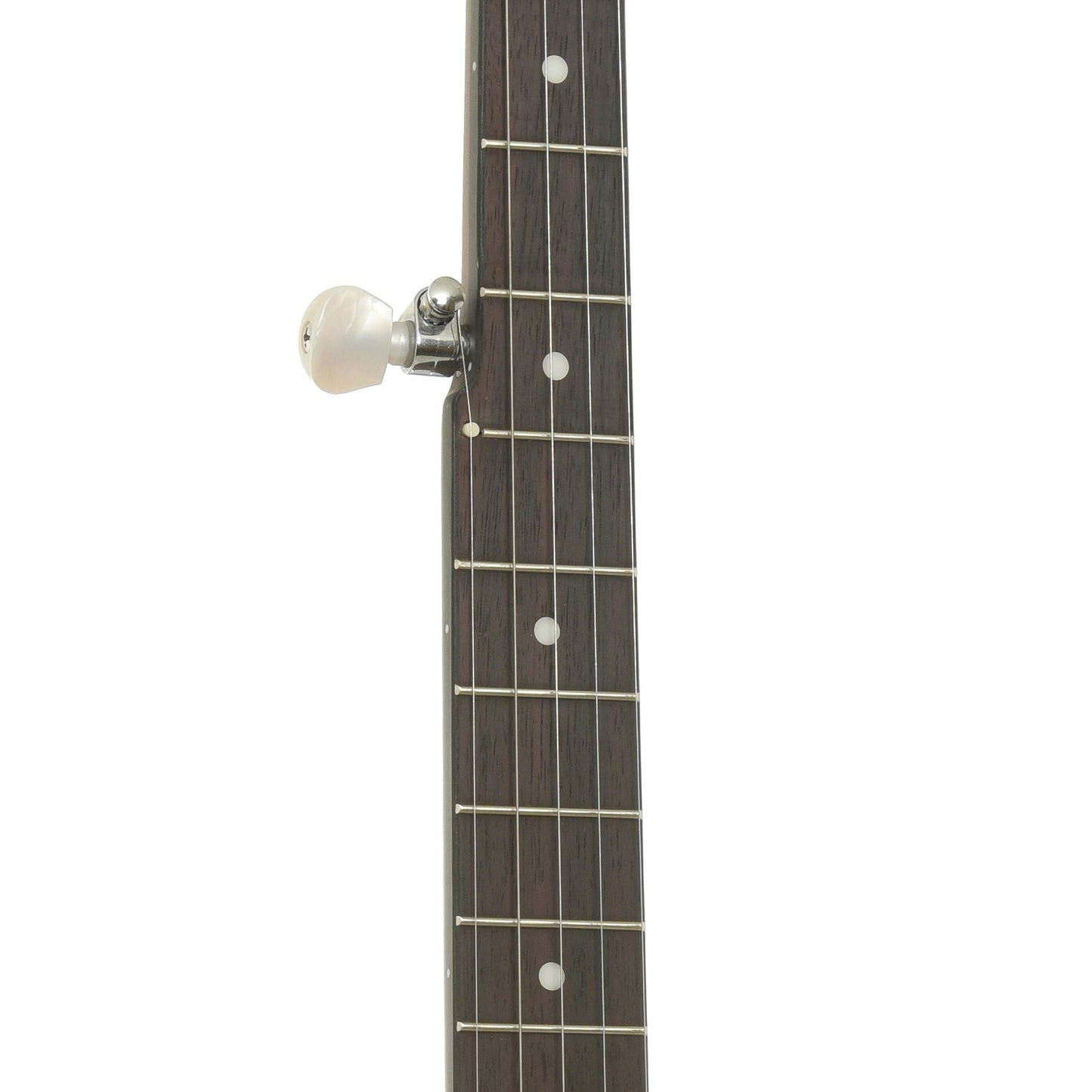 Fretboard of Gold Tone CC-50 Cripple Creek Open Back Banjo