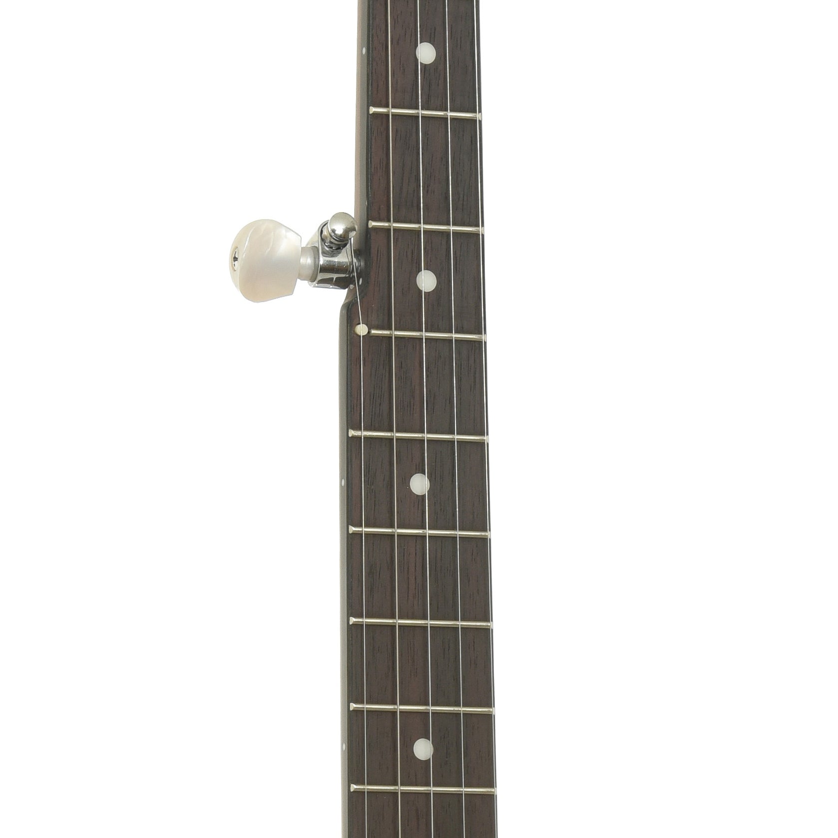 Fretboard of Gold Tone CC-50 Cripple Creek Open Back Banjo