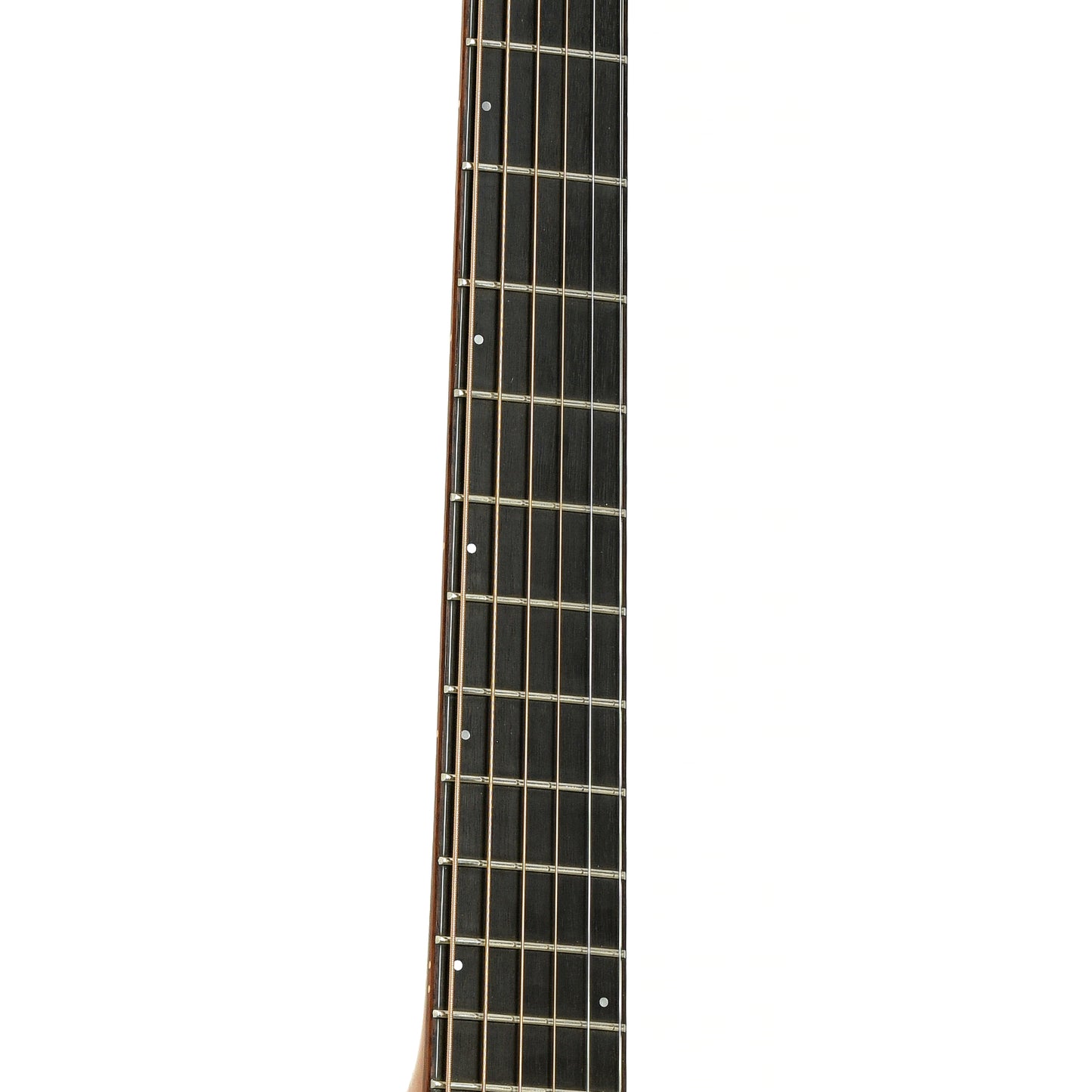 Fretboard of Breedlove J-20 / Mp Acoustic Guitar