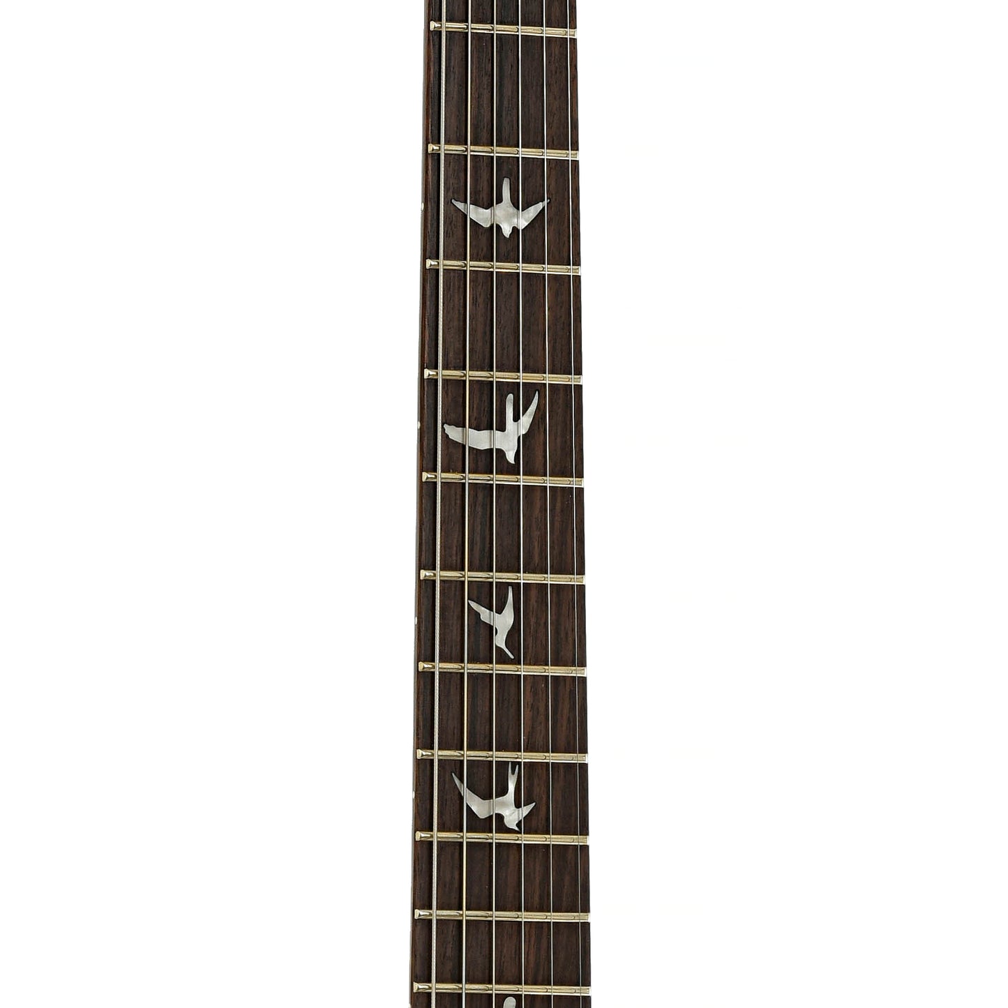 Fretboard of PRS SE Special Semi-Hollow Electric Guitar Charcoal Burst