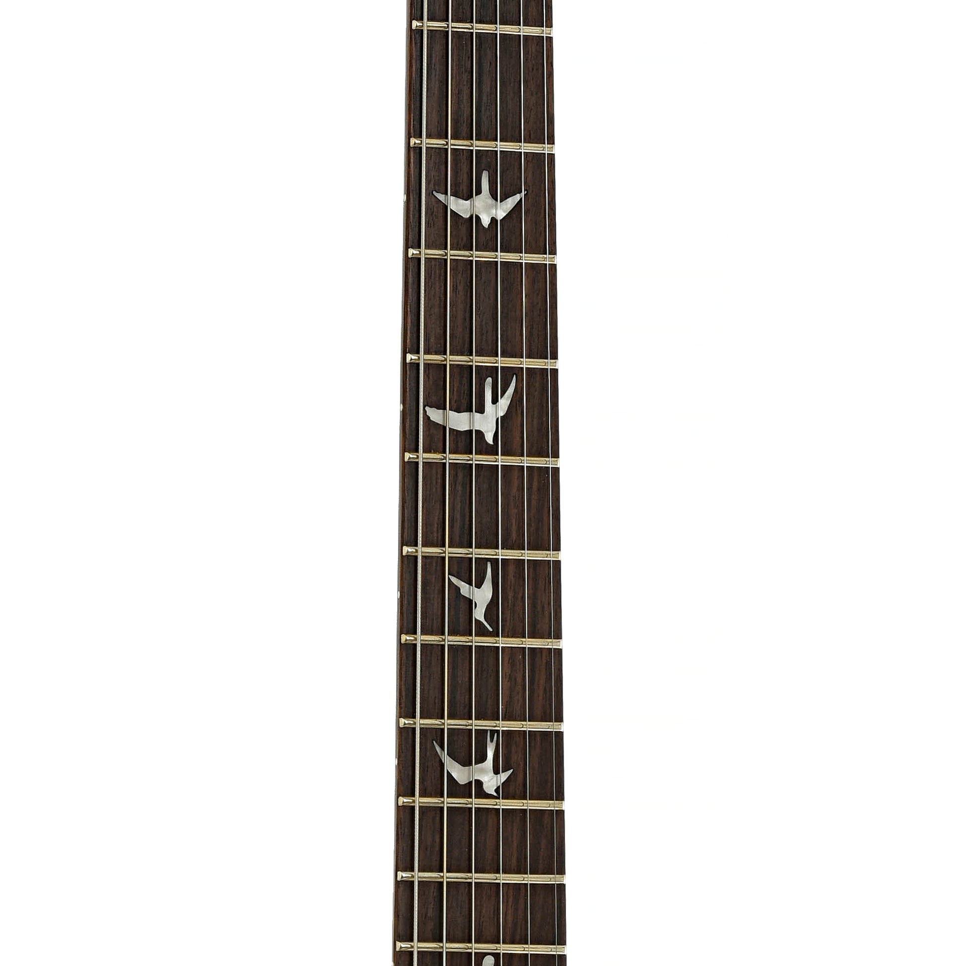 Fretboard of PRS SE Special Semi-Hollow Electric Guitar Charcoal Burst
