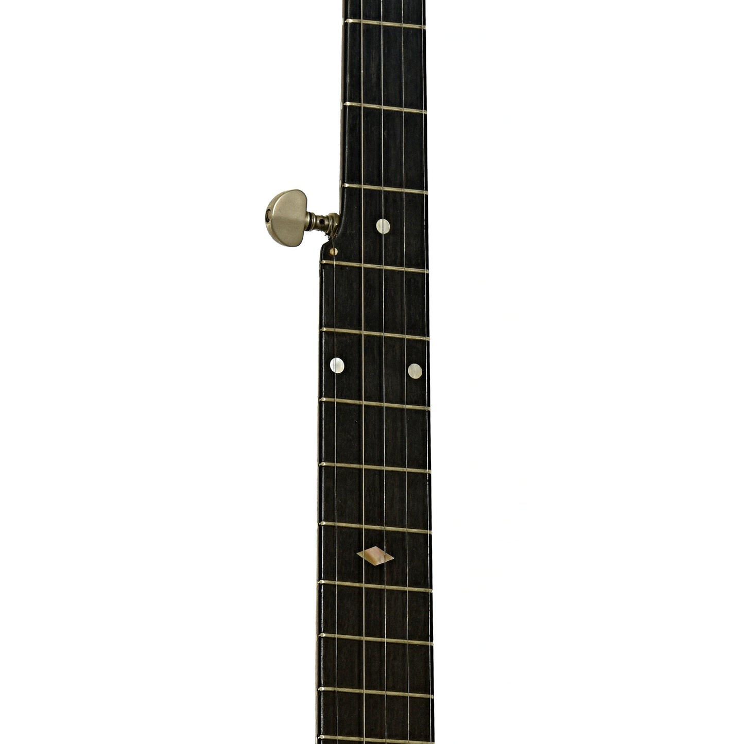 Fretboard of S.S. Stewart Openback Banjo
