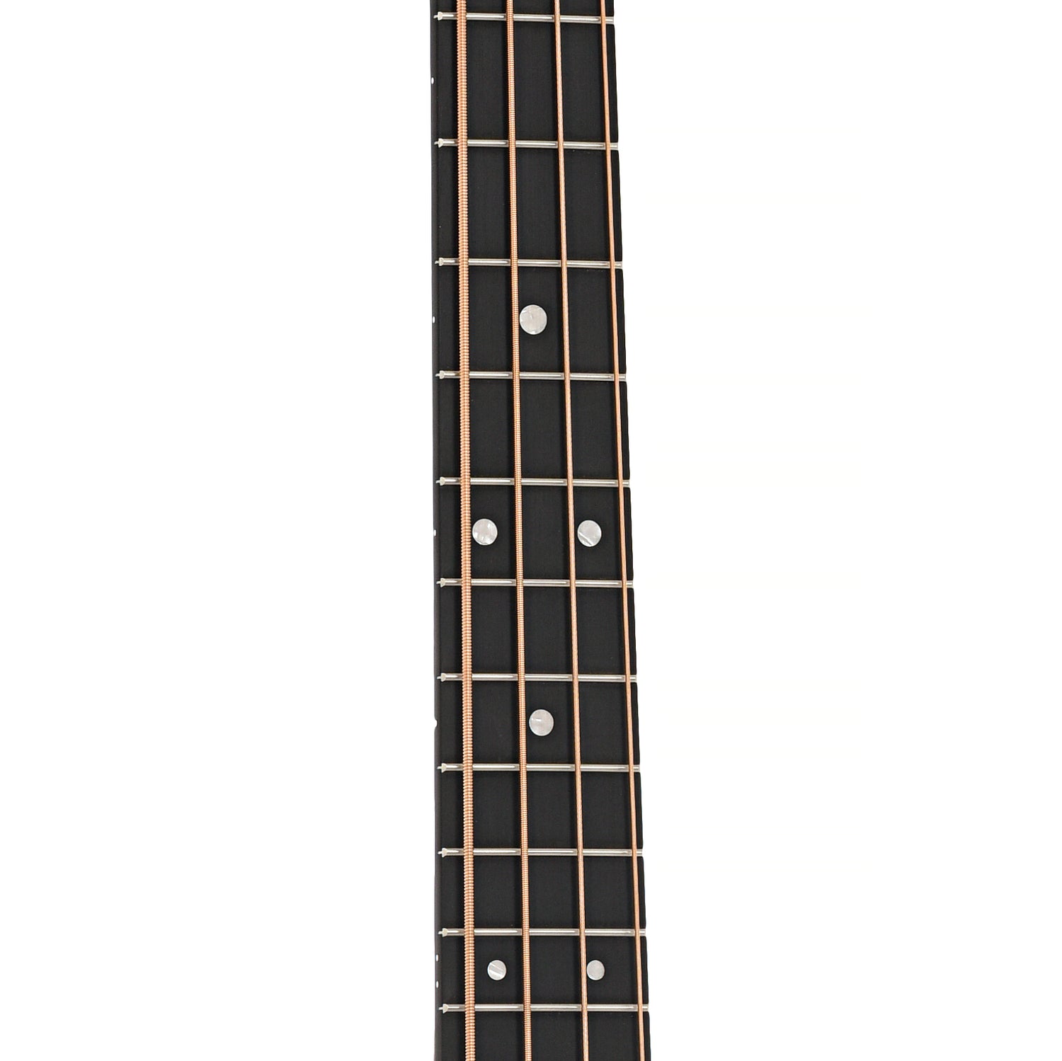Fretboard of Martin DJR-10E Acoustic Bass 