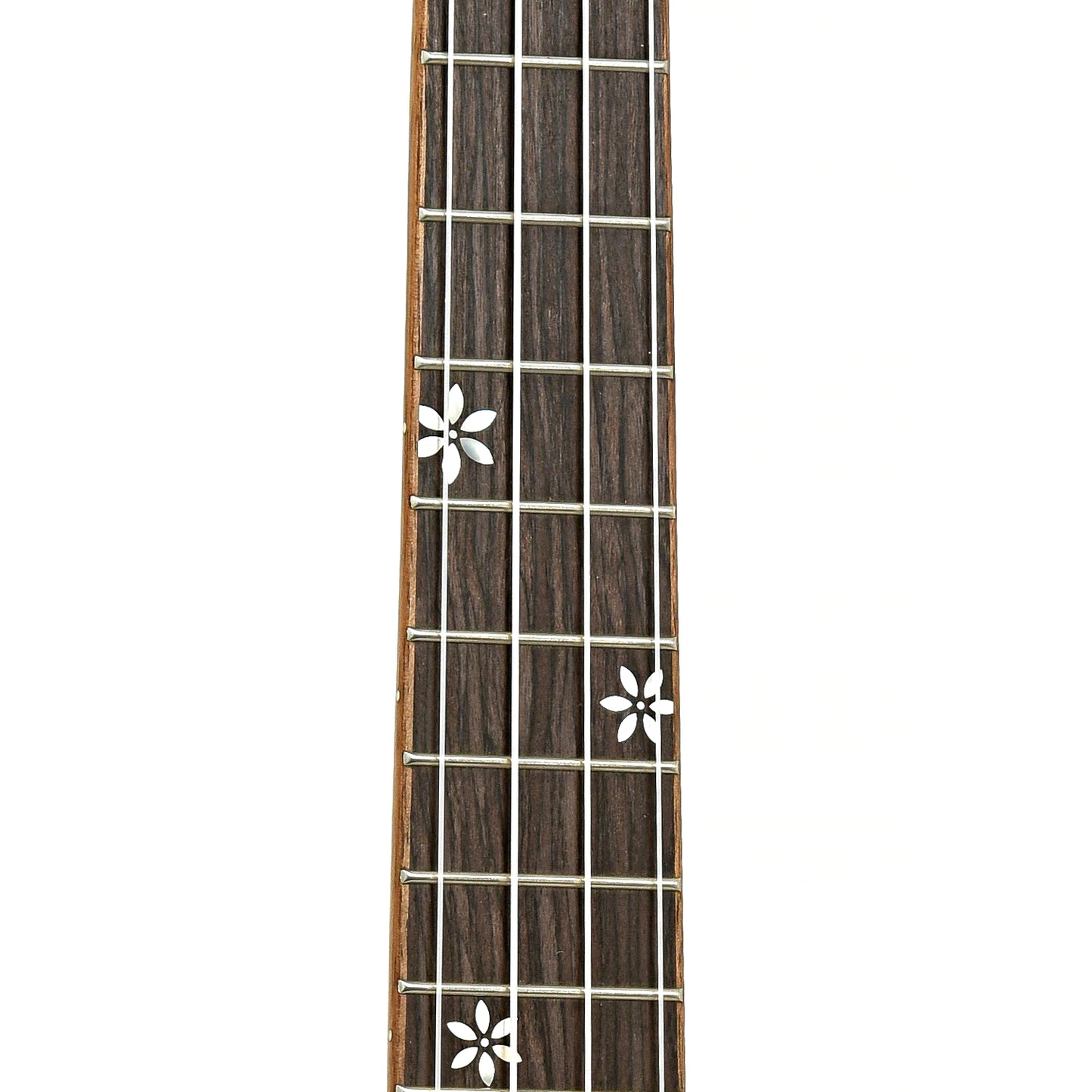 Fretboard of Ohana TK-50ME Tenor Ukulele