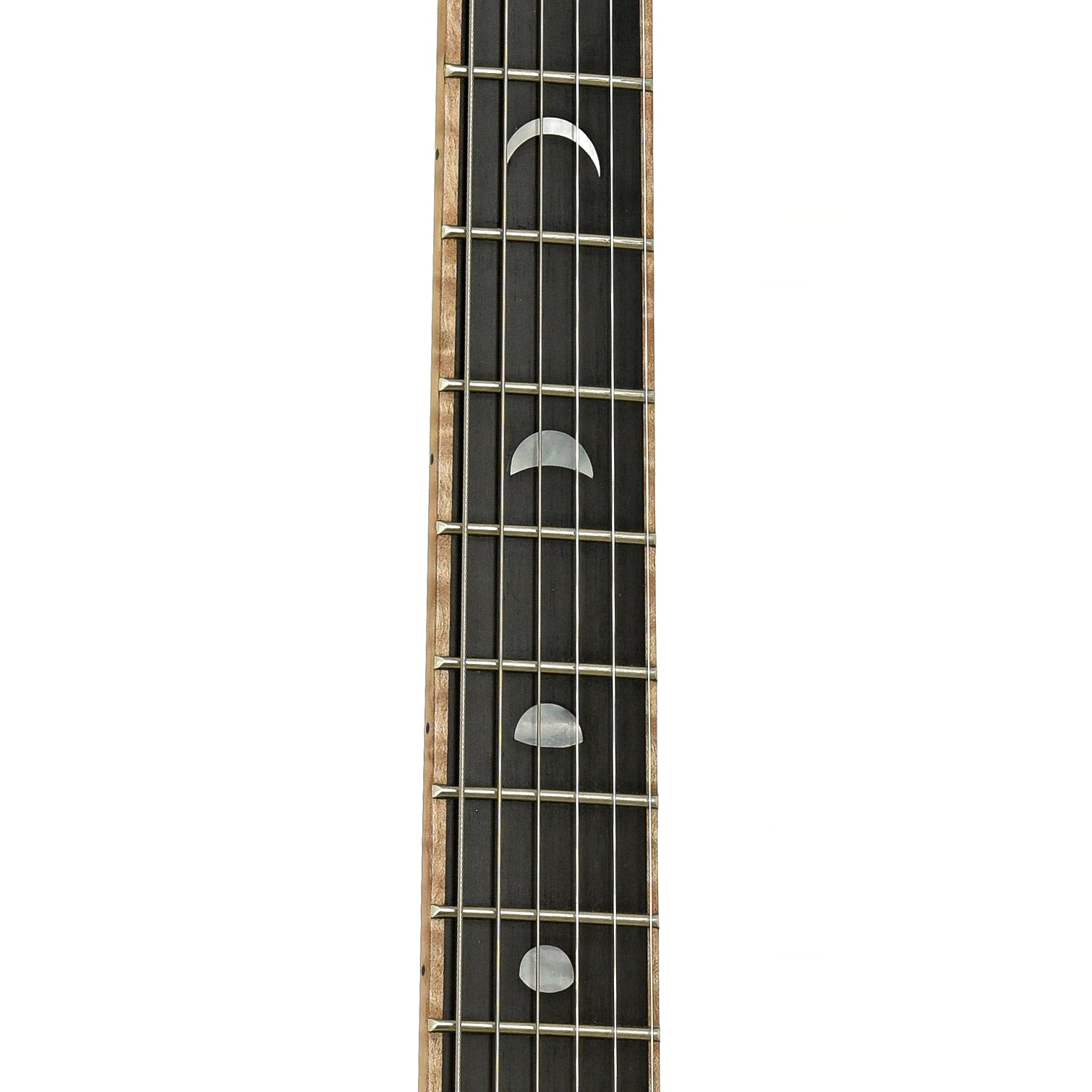 Fretboard of Jet Earlewood Electric Guitar  