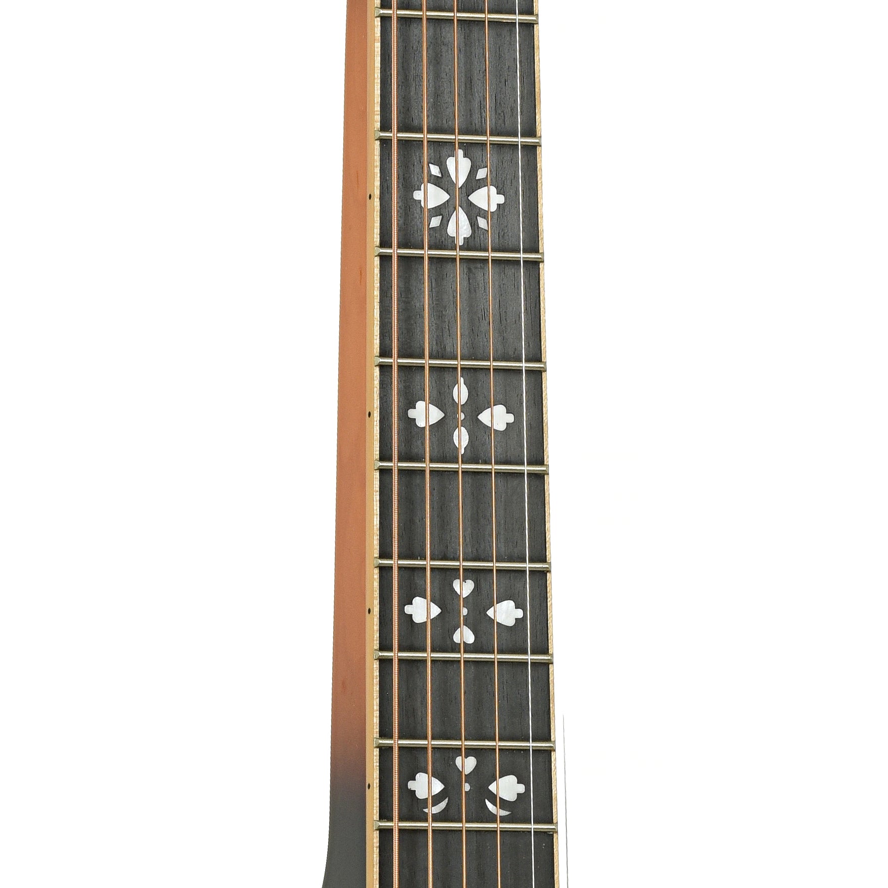 Fretboard of Gold Tone PBS-D Squareneck Resonator Guitar 