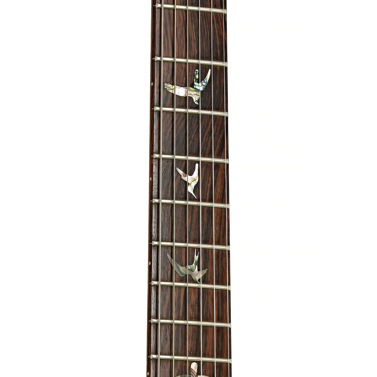Fretboard of PRS Custom 24 Electric Guitar 