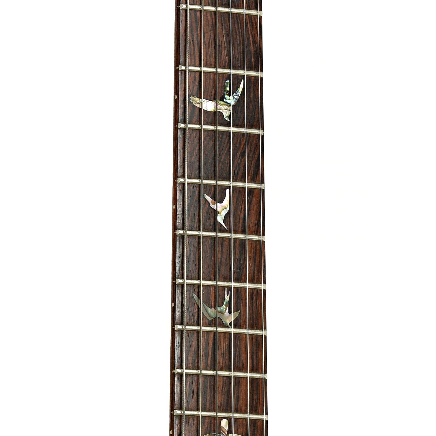Fretboard of PRS Custom 24 Electric Guitar 