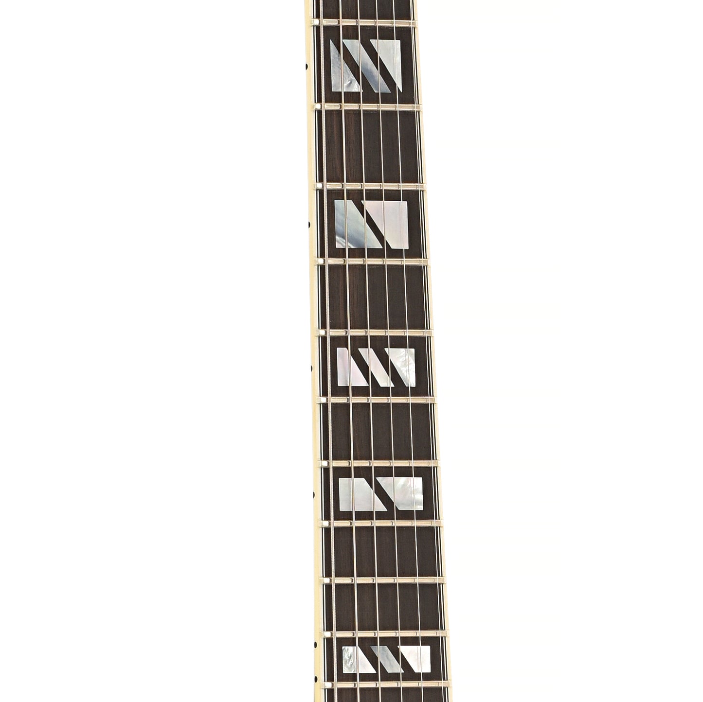 Fretboard of Triggs Custom 17 Archtop Electric Guitar (2010)