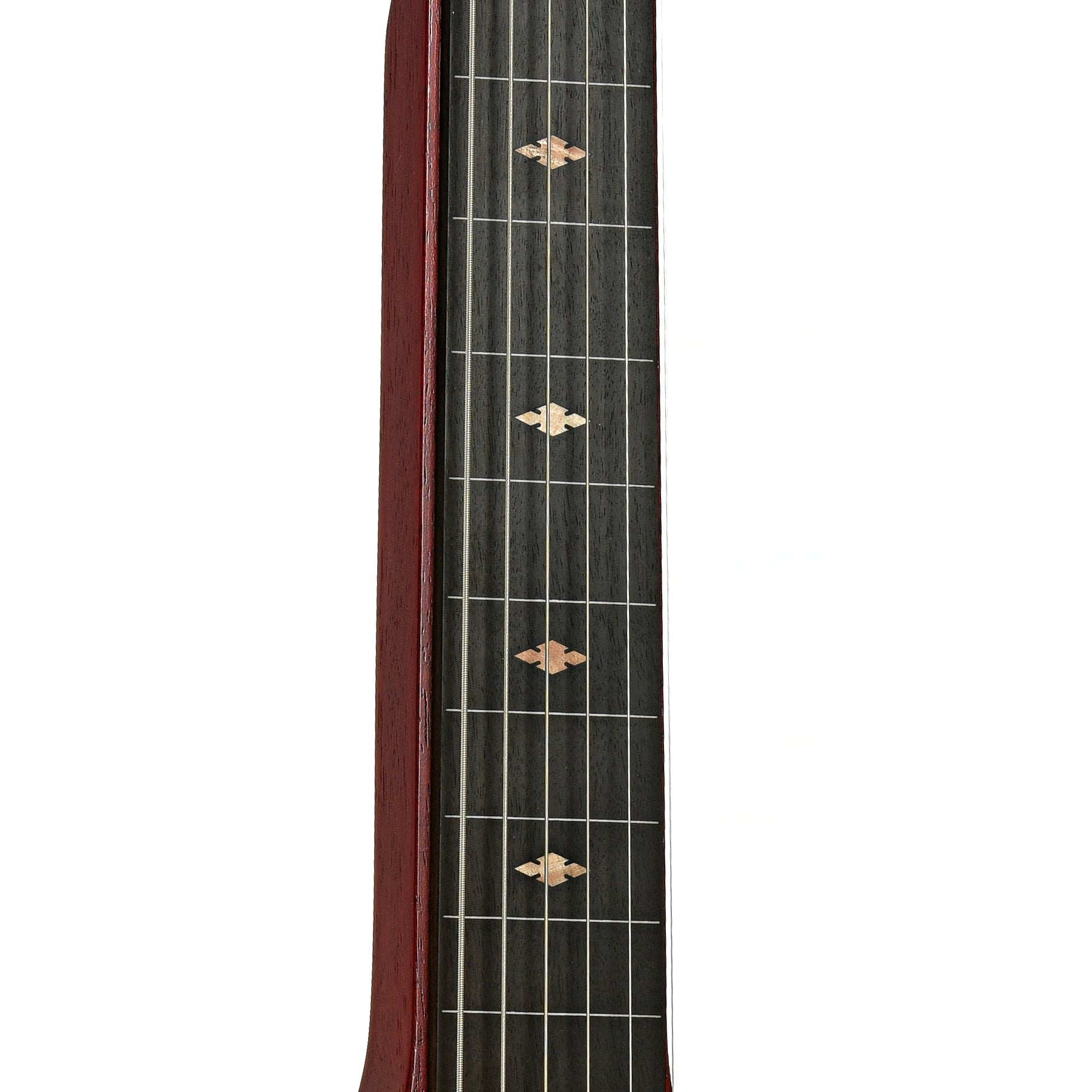 Fretbard of Beard Trailhead Lapsteel Guitar