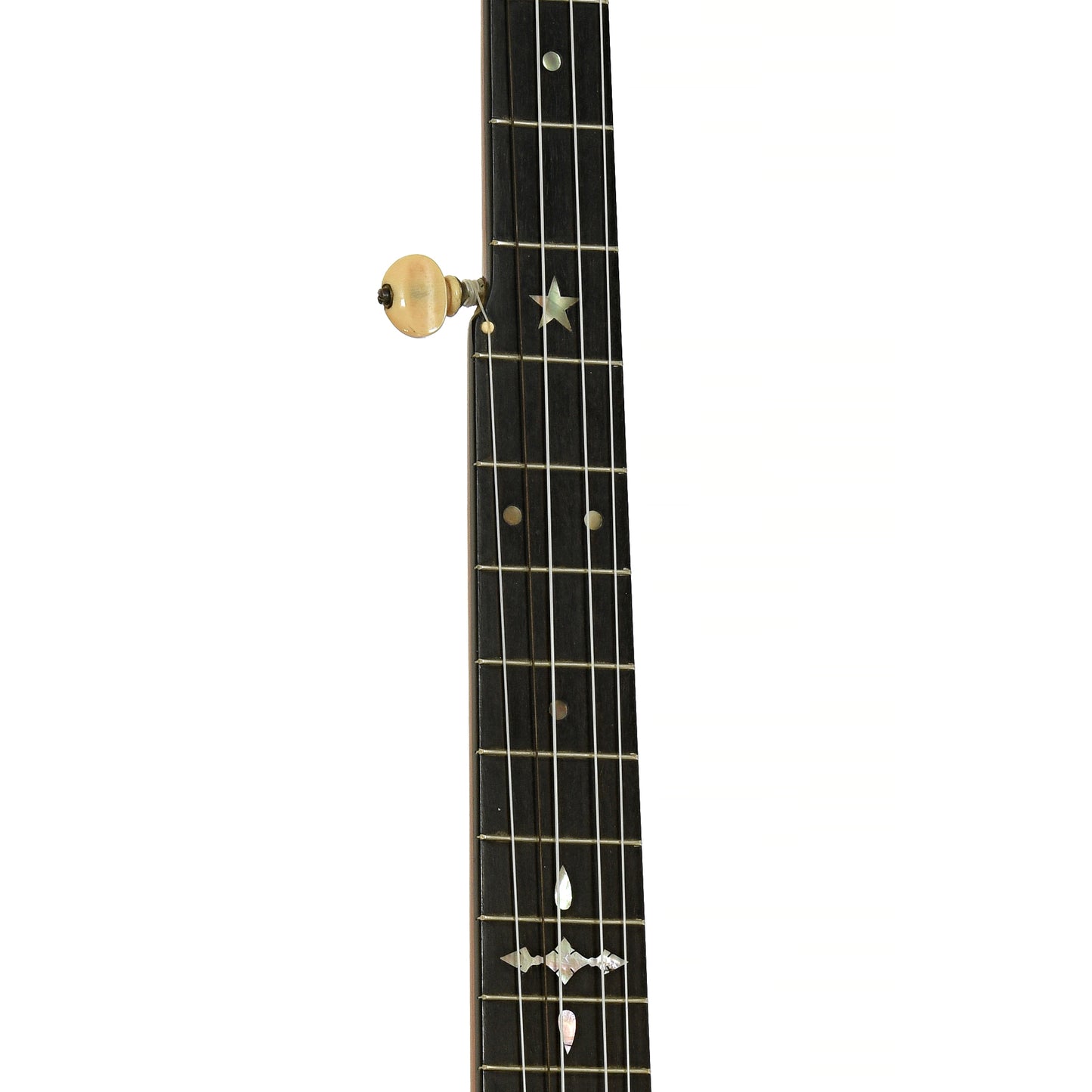 Fretboard of Haynes Bay State Model 325 Open Back Banjo