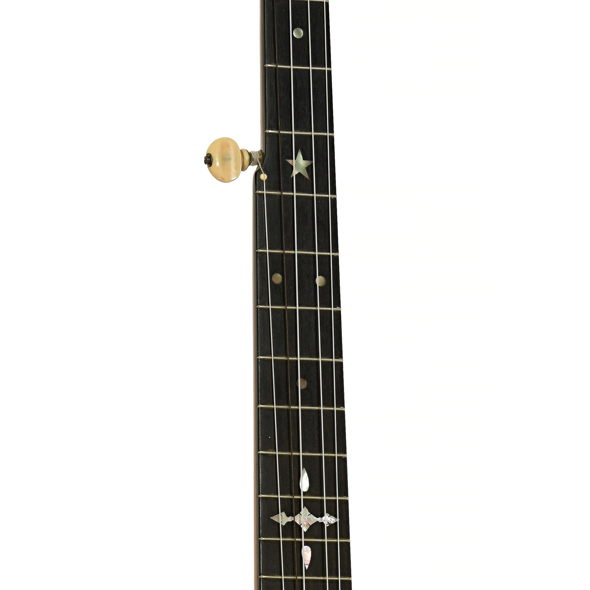 Fretboard of Haynes Bay State Model 325 Open Back Banjo