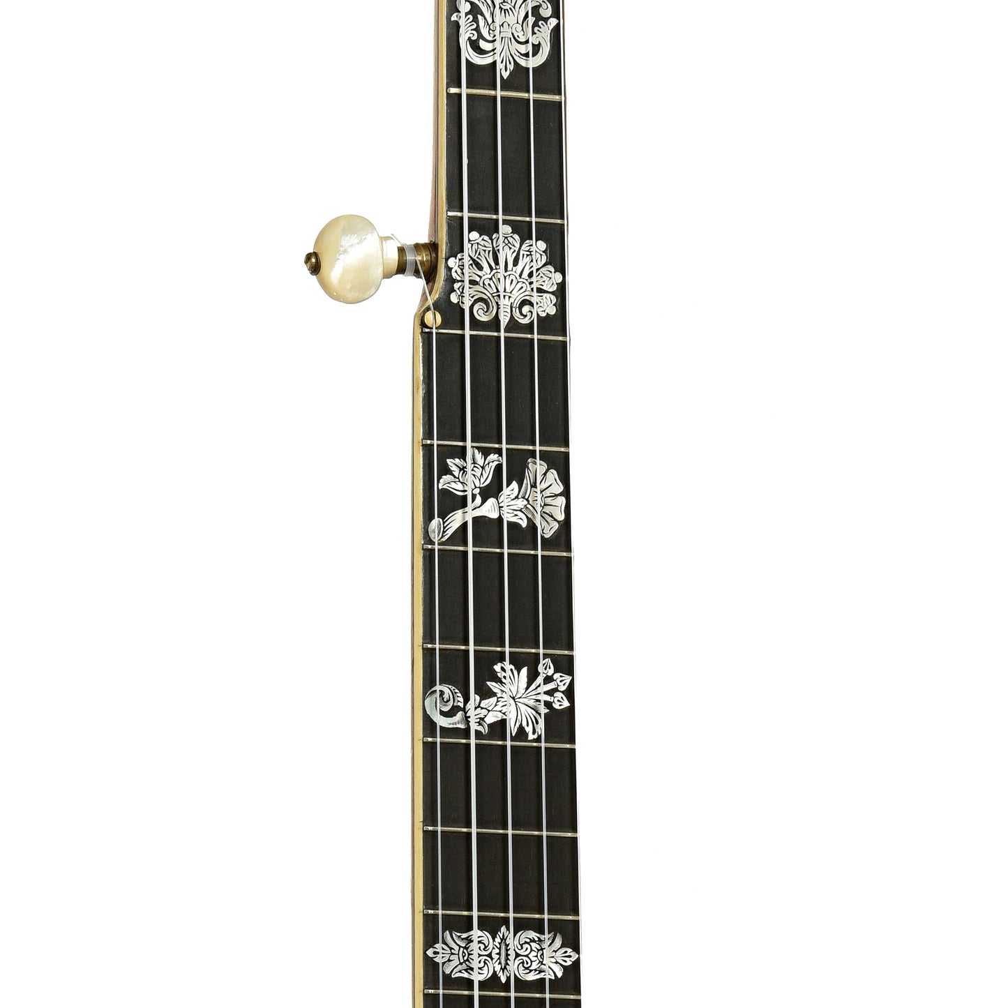 Fretboard of Fairbanks Whyte Laydie No.7 Open Back Banjo