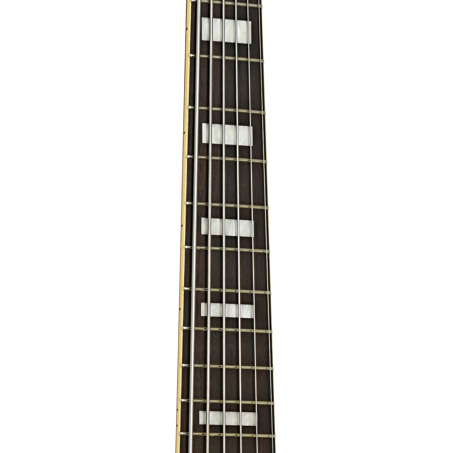 Fretboard of Ibanez TCB1006 Stephen "Thundercat" Bruner 6-String Hollowbody Electric Bass (2022)