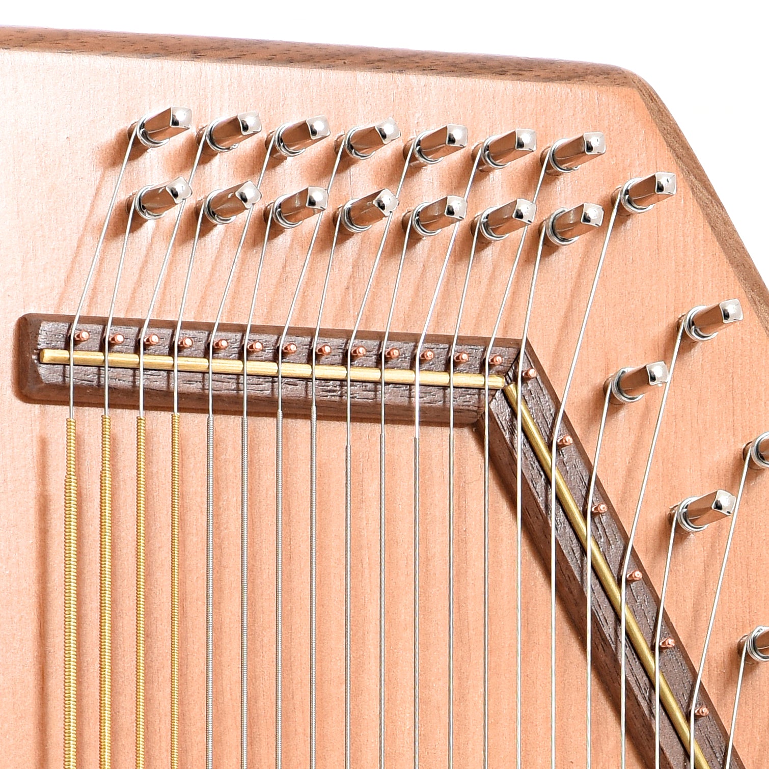 Tuning pegs of D'Aigle TLC Traditional Luthier's Classic 21-Bar Autoharp & Gigbag