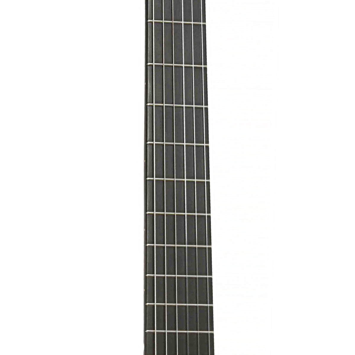 Fretboard of Ramirez 2CWE