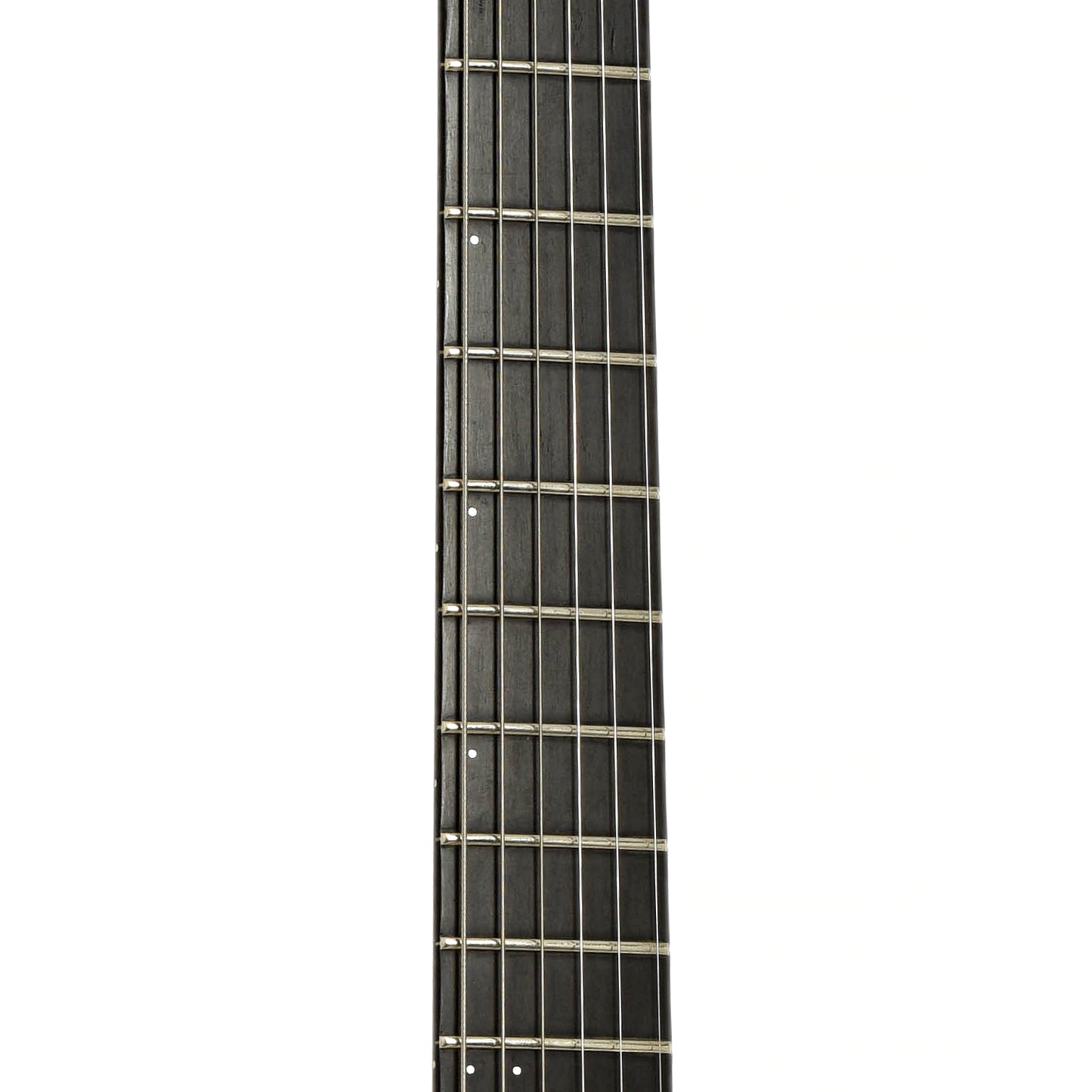 Fretboard of Godin LGX-SA with Synth Access Electric Guitar 