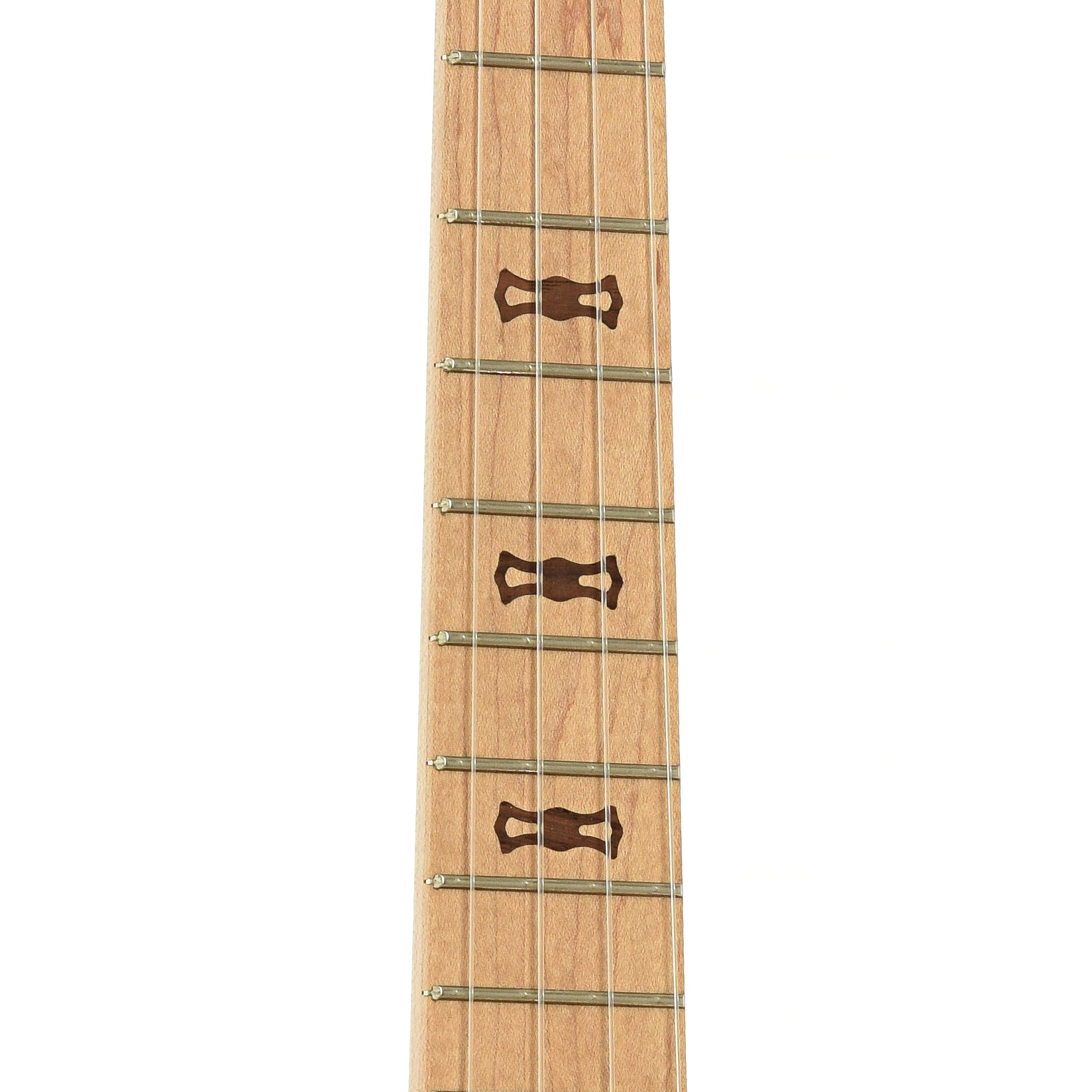 Fretboard of Deering Goodtime Tenor Banjo Ukulele 