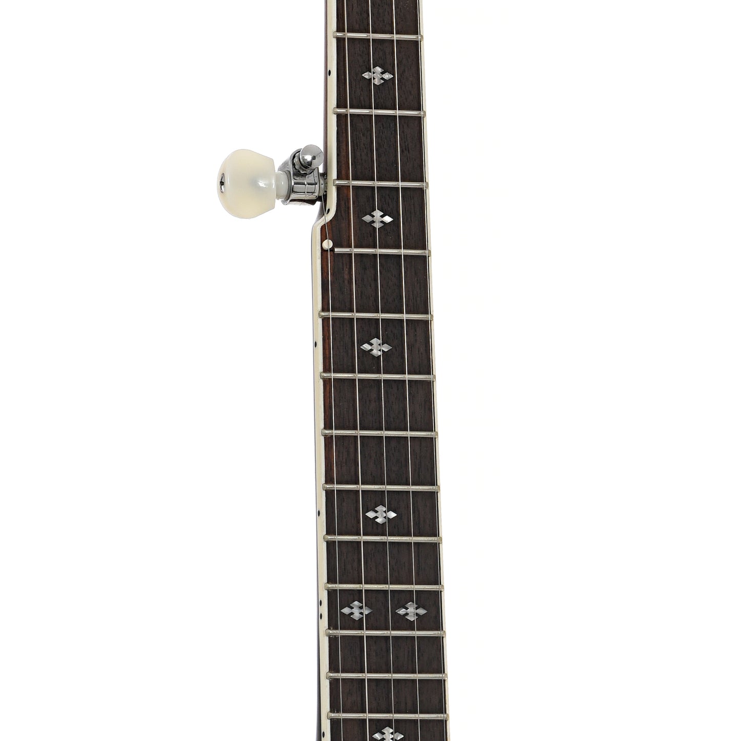 Fretboard of Gold Tone BG-Mini Resonator Banjo