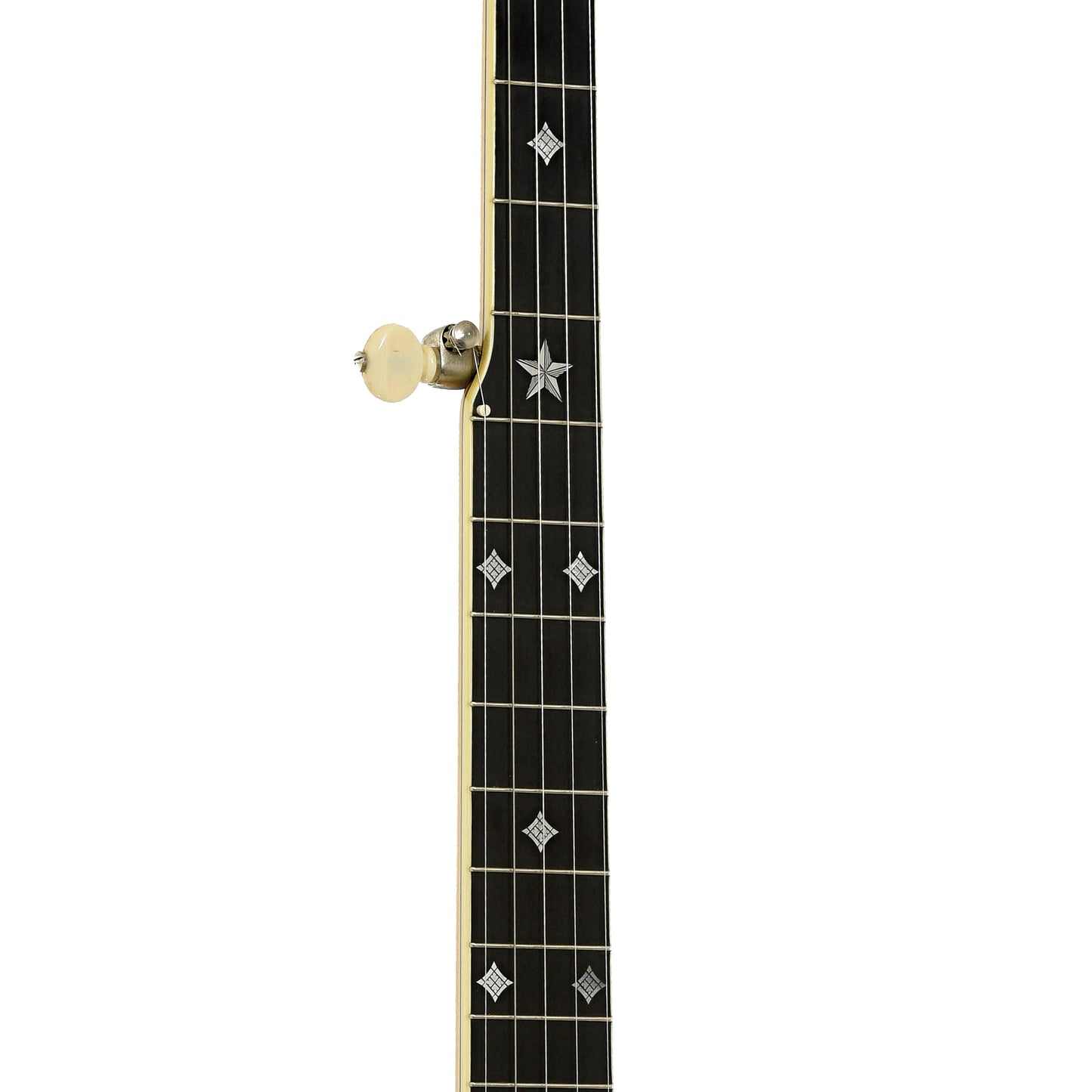 Fretboard of Bart Reiter Professional Custom Open Back Banjo