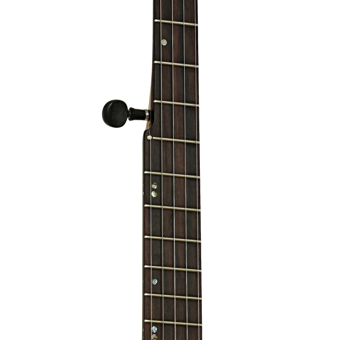 Fretboard of Chuck Lee Cottonwood 12" Openback Banjo #873